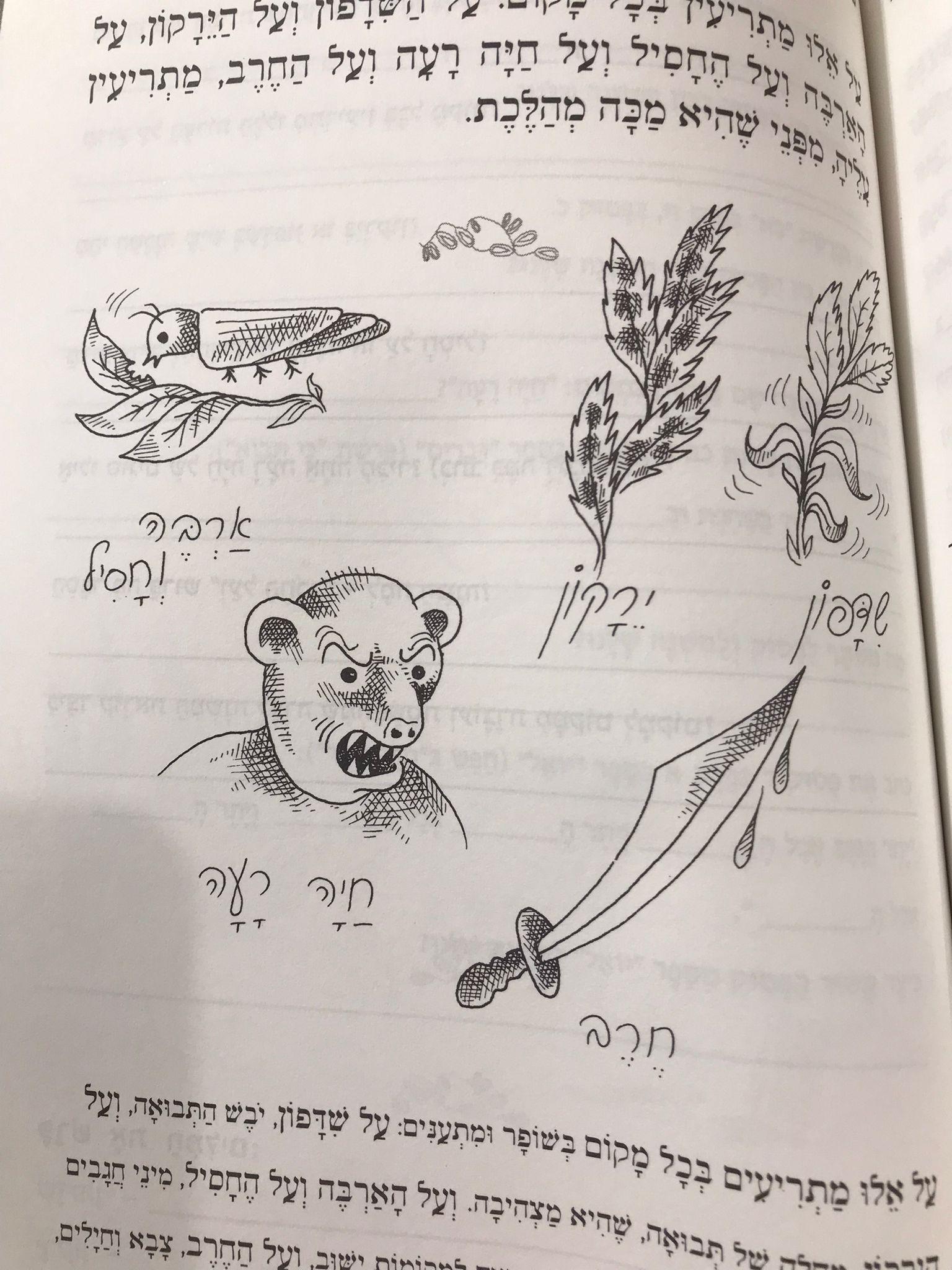 WhatsApp Image 2023-06-29 at 14.21.56 (1).jpeg