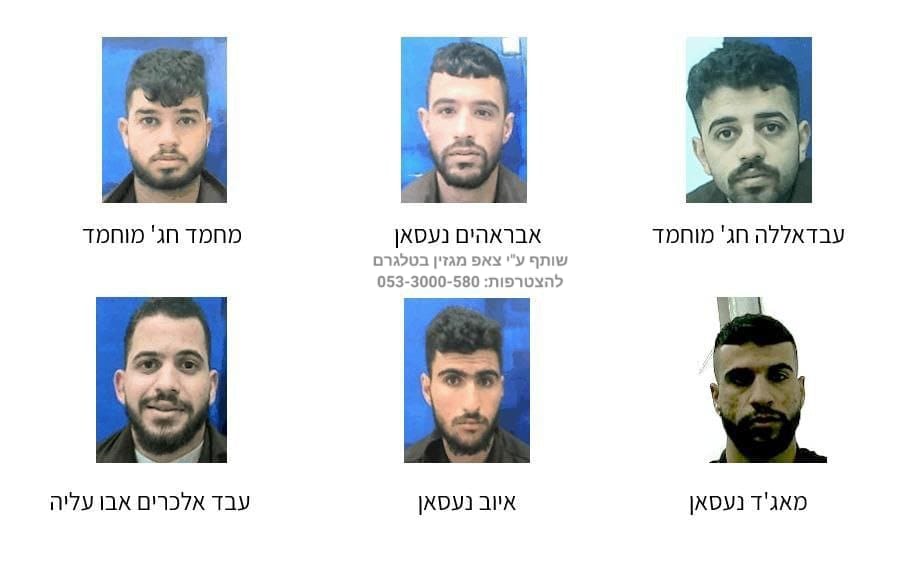 WhatsApp Image 2023-07-12 at 13.54.04.jpeg