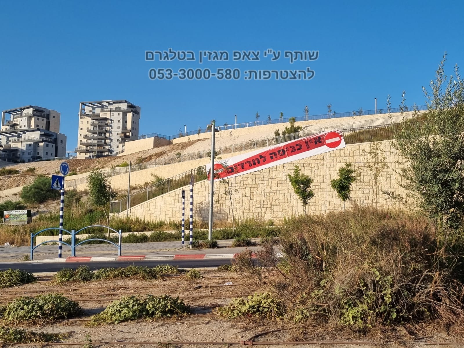 WhatsApp Image 2023-07-13 at 10.00.54 (1).jpeg