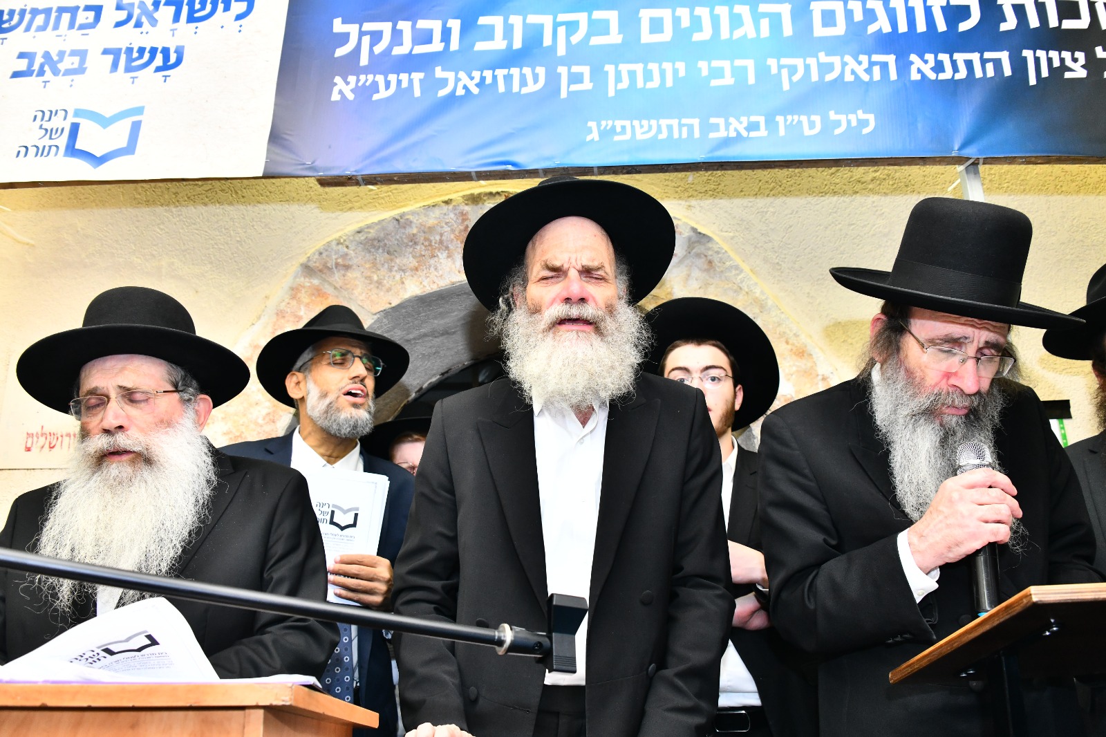 WhatsApp Image 2023-08-08 at 16.42.29.jpeg