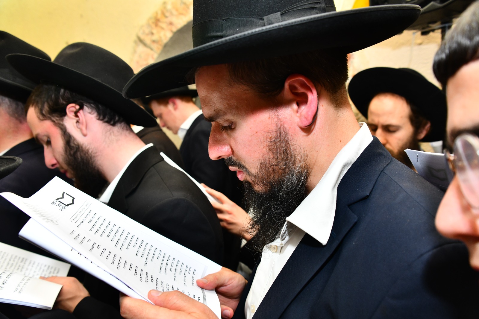 WhatsApp Image 2023-08-08 at 16.42.30.jpeg