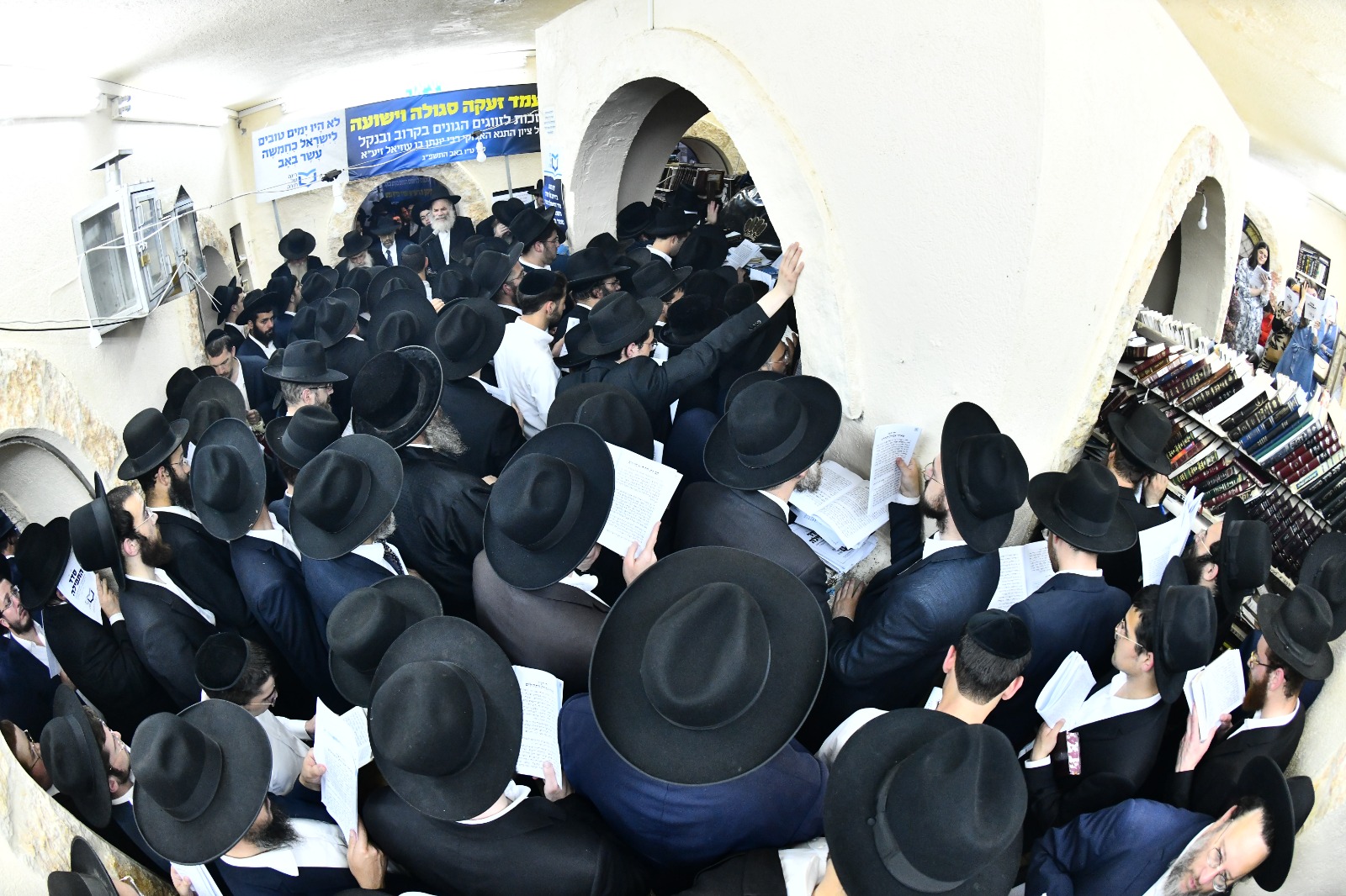 WhatsApp Image 2023-08-08 at 16.42.33.jpeg