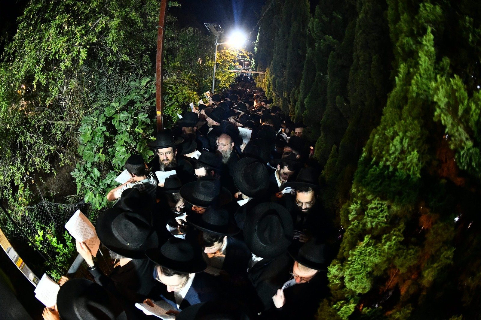 WhatsApp Image 2023-08-08 at 16.42.36.jpg