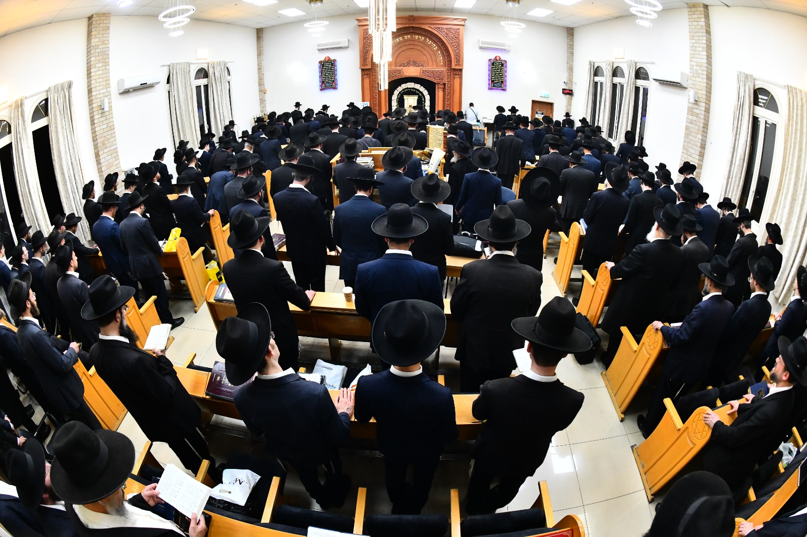 WhatsApp Image 2023-08-08 at 16.42.37 (3).jpeg