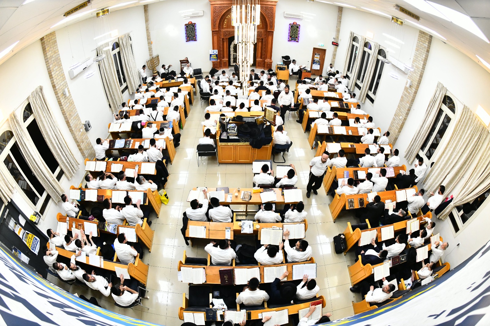 WhatsApp Image 2023-08-08 at 16.42.37 (6).jpeg