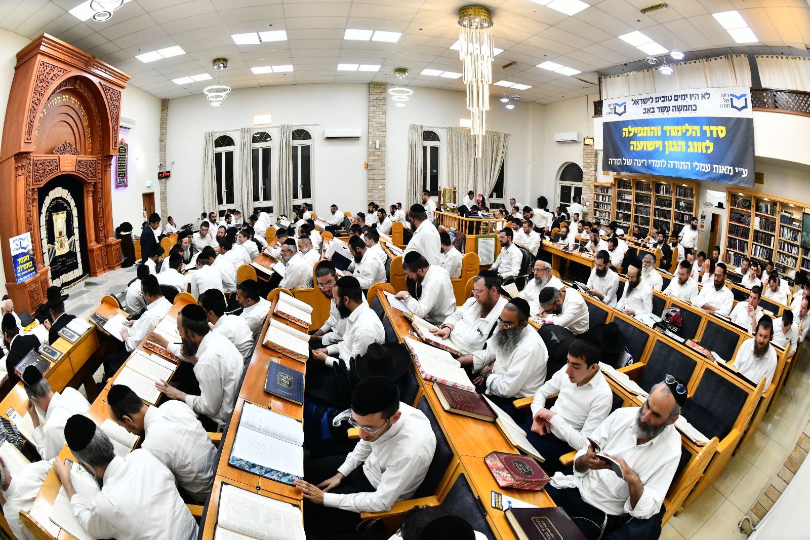 WhatsApp Image 2023-08-08 at 16.42.37 (7).jpeg