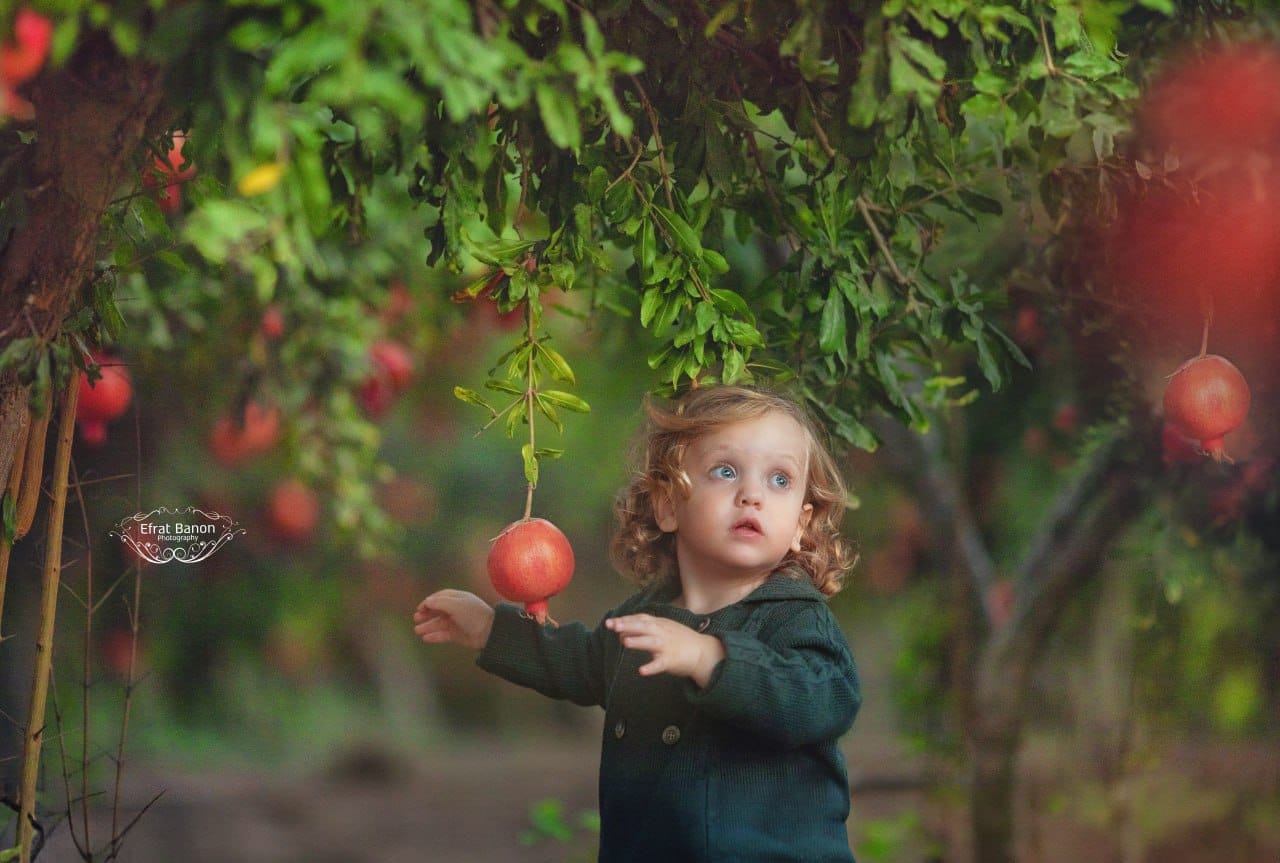 WhatsApp Image 2023-09-15 at 02.09.34-2.jpeg