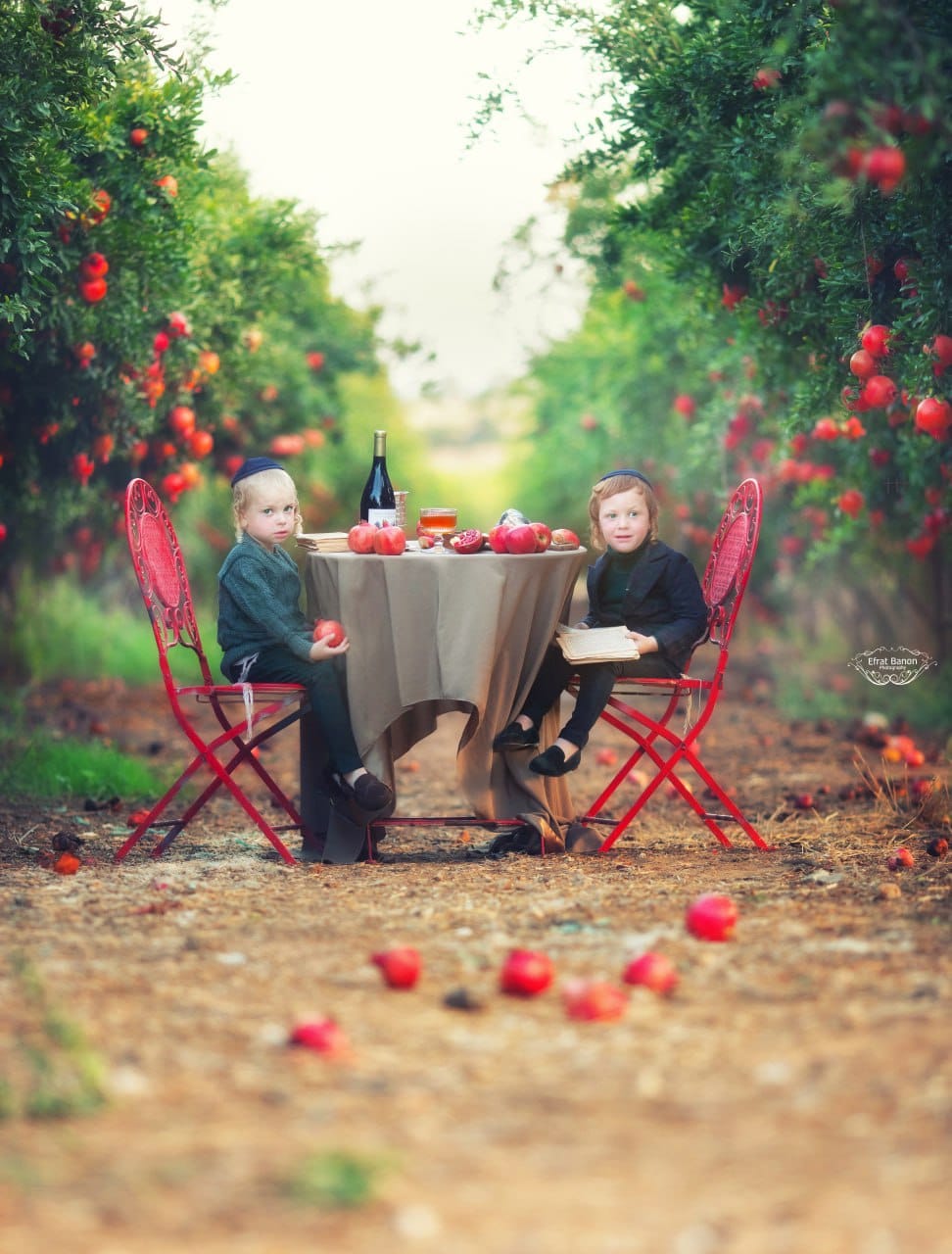 WhatsApp Image 2023-09-15 at 02.09.35-3.jpeg