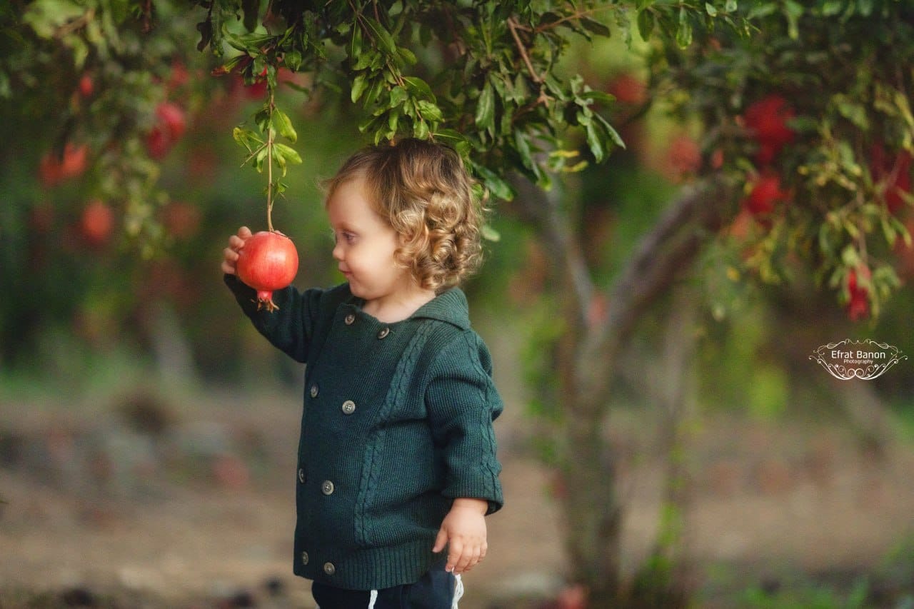 WhatsApp Image 2023-09-15 at 02.09.35.jpeg