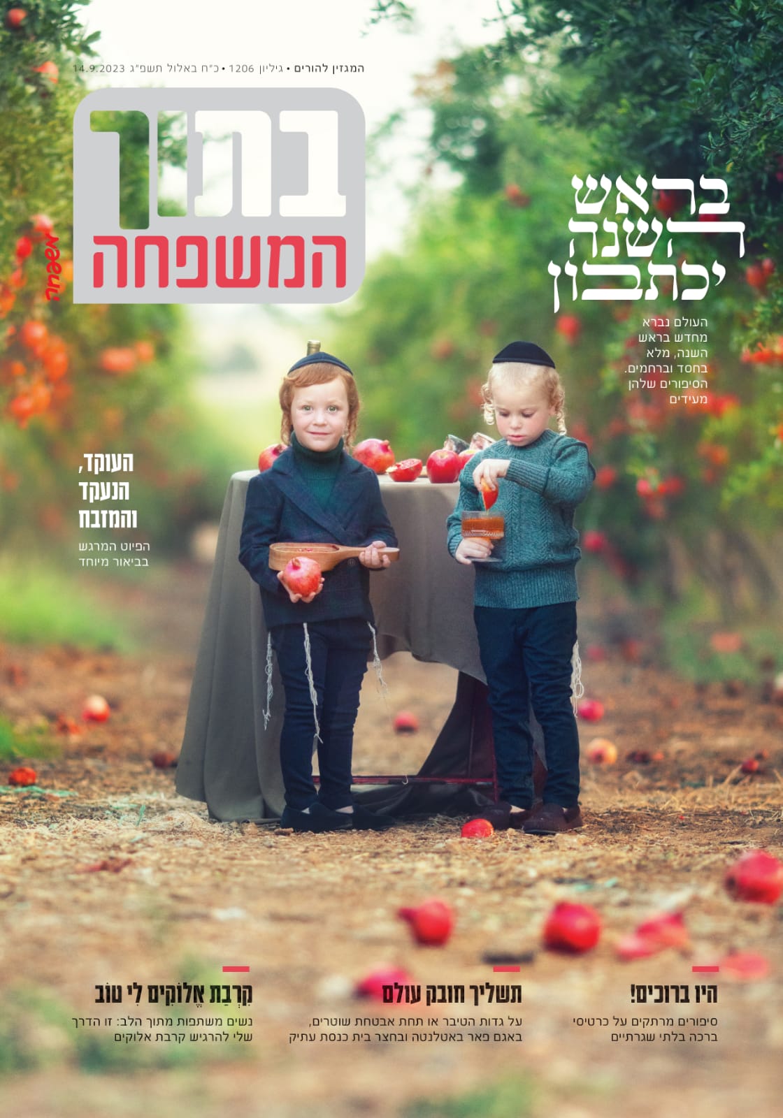 WhatsApp Image 2023-09-15 at 02.09.37.jpeg