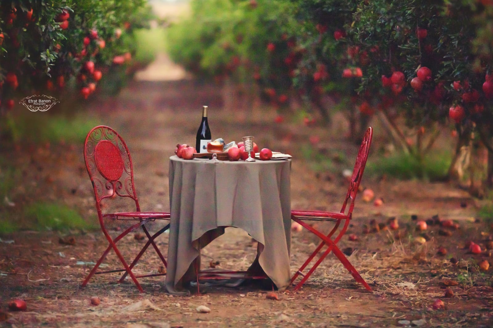 WhatsApp Image 2023-09-15 at 02.12.29.jpeg