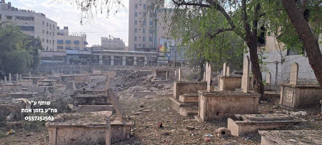 WhatsApp Image 2023-10-27 at 09.57.47.jpeg