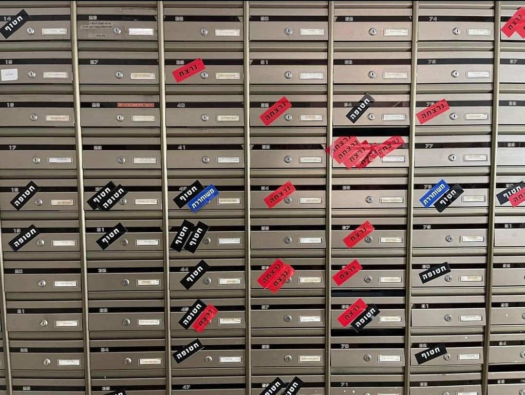 WhatsApp Image 2023-11-09 at 23.28.40.jpeg