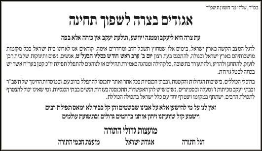 WhatsApp Image 2023-11-09 at 23.33.26.jpeg