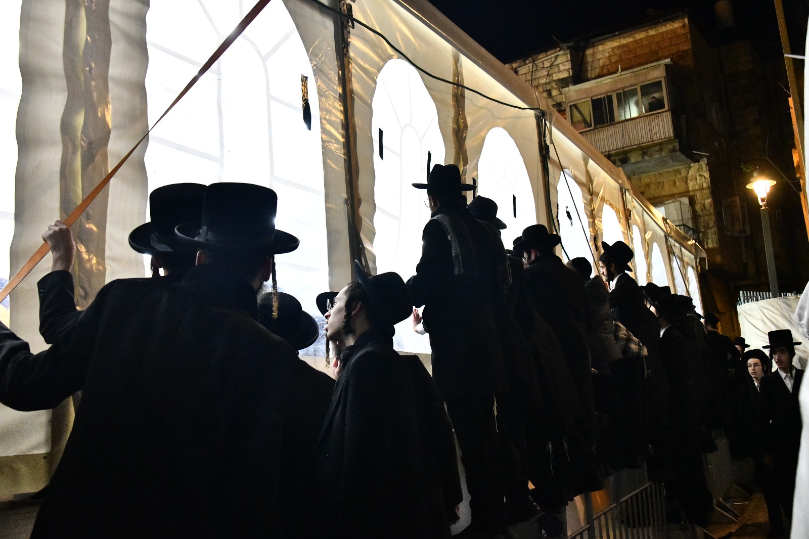 WhatsApp Image 2024-02-05 at 20.43.56.jpeg