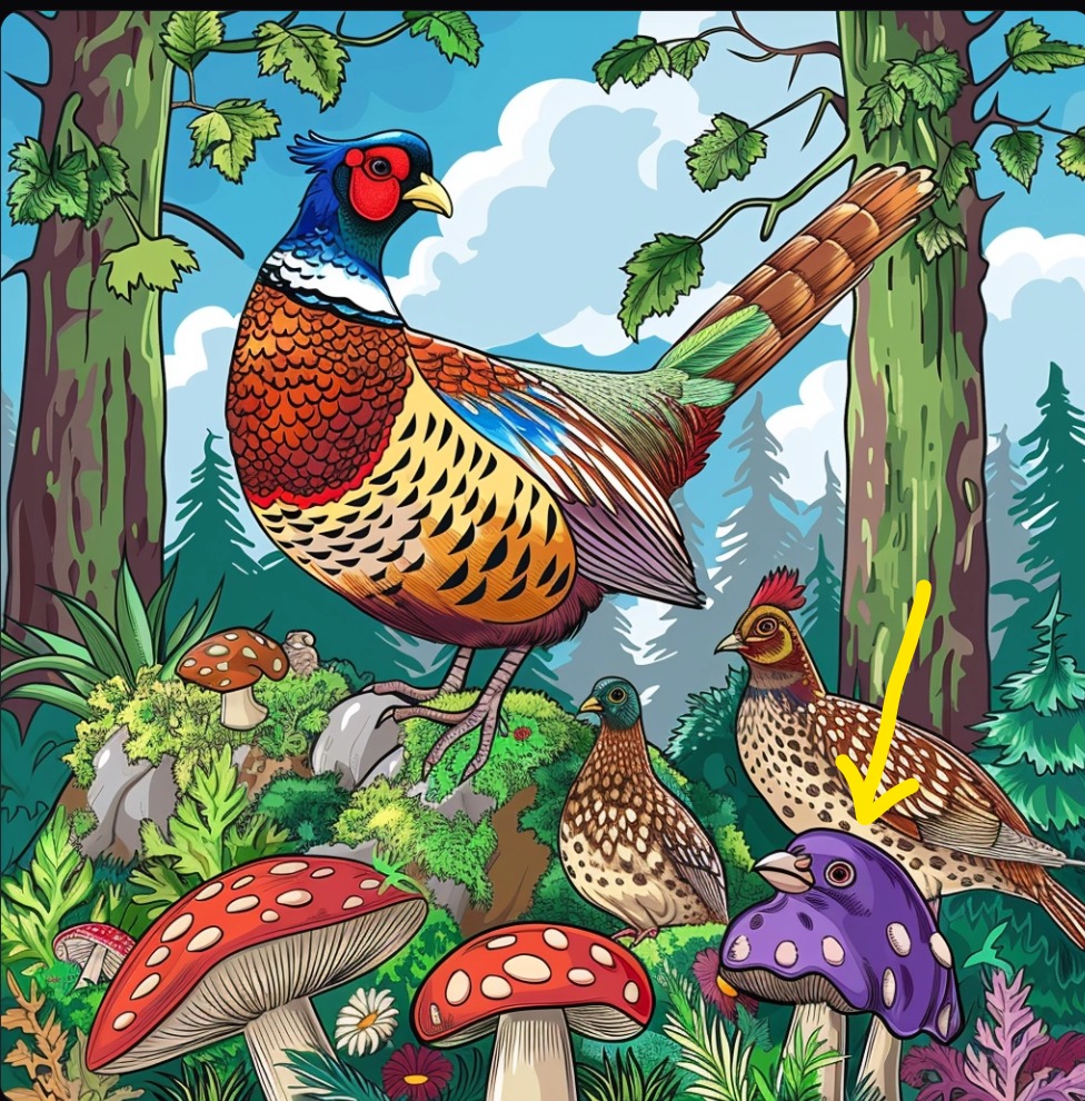 WhatsApp Image 2024-03-28 at 2.05.19 PM.jpeg