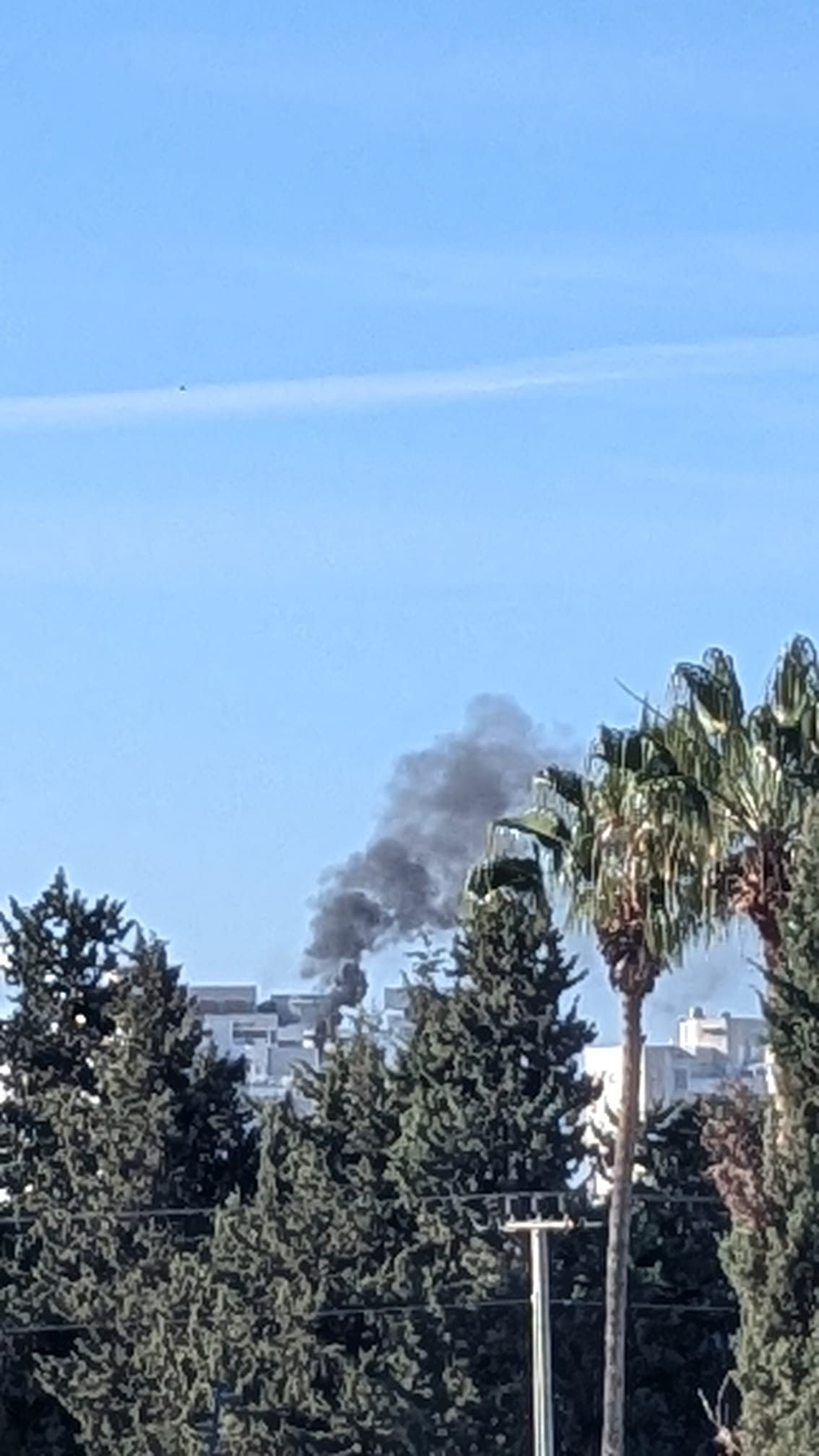 WhatsApp Image 2024-12-09 at 09.30.53.jpeg