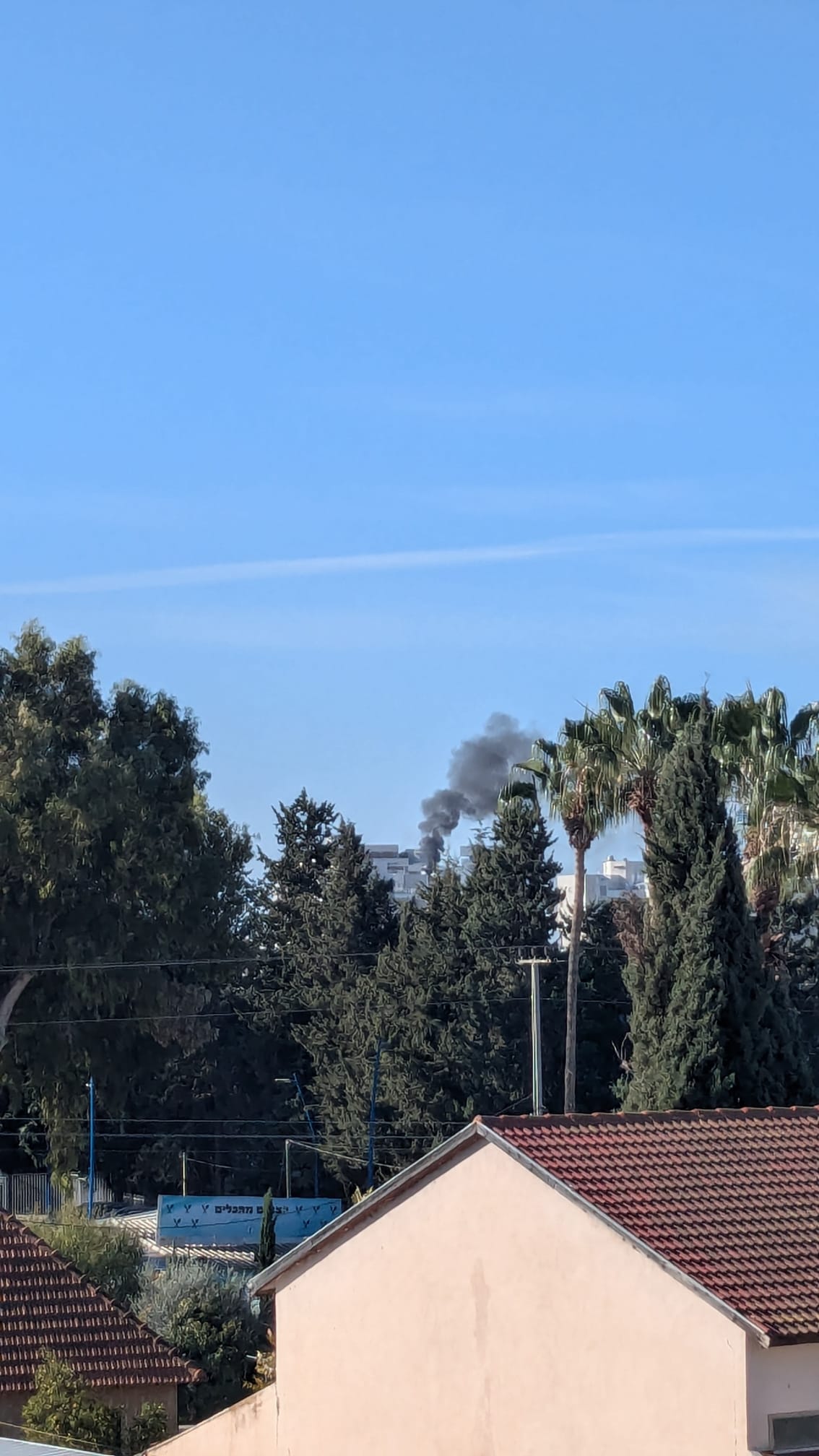 WhatsApp Image 2024-12-09 at 09.30.54.jpeg