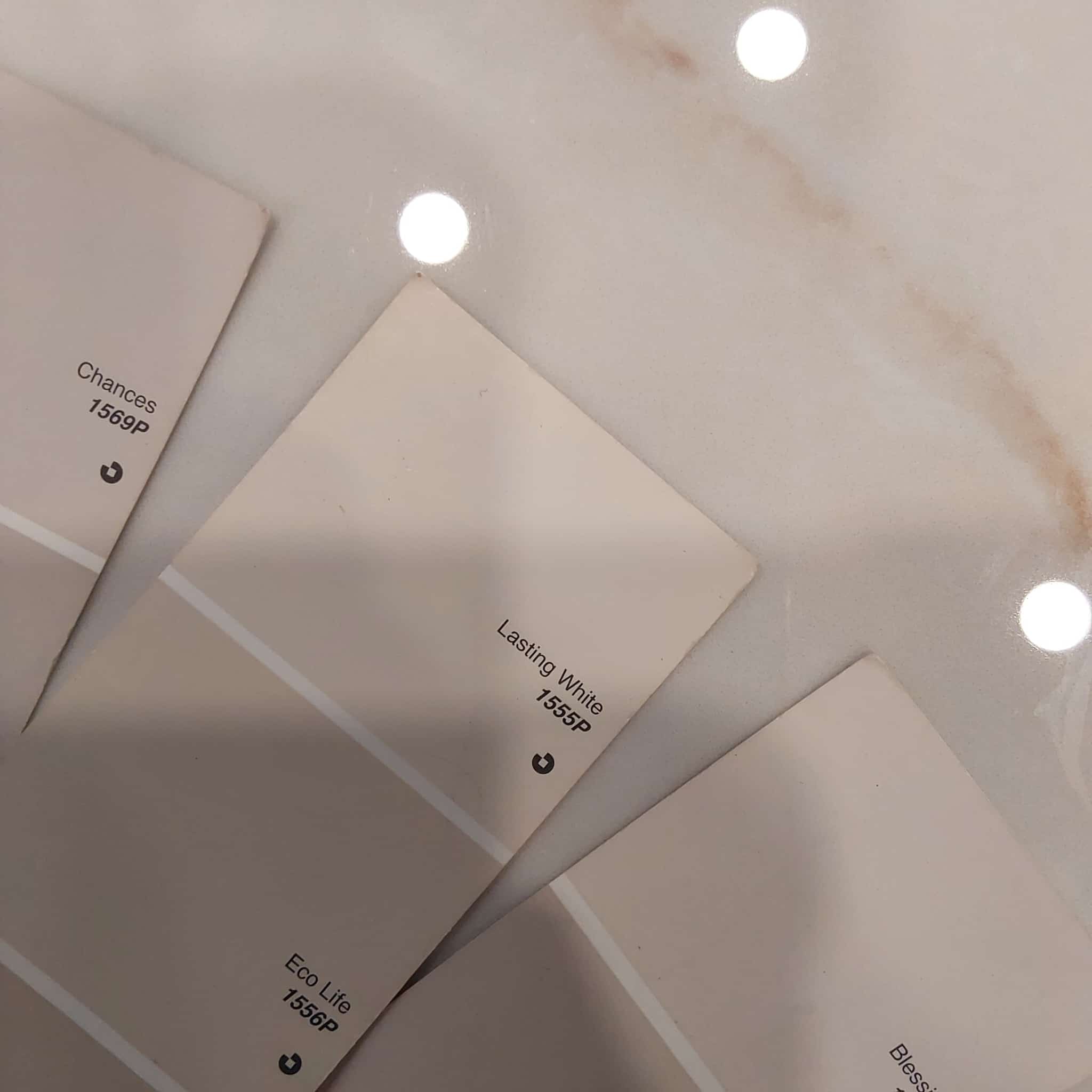 WhatsApp Image 2025-02-18 at 01.15.58.jpeg