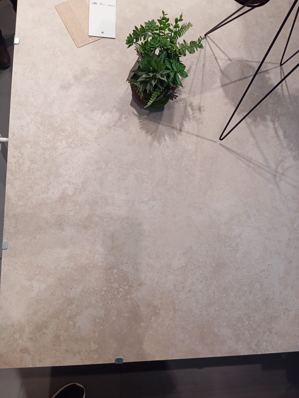 WhatsApp Image 2025-03-12 at 15.09.54.jpeg