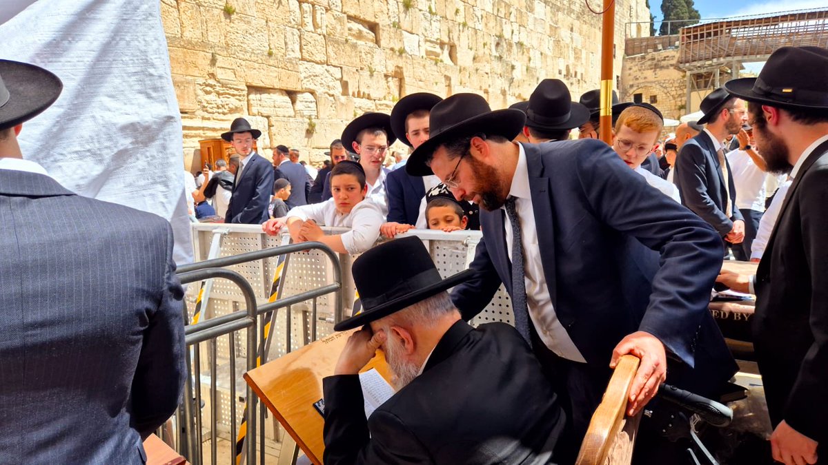 WhatsApp Image 2025-04-16 at 19.59.54.jpeg