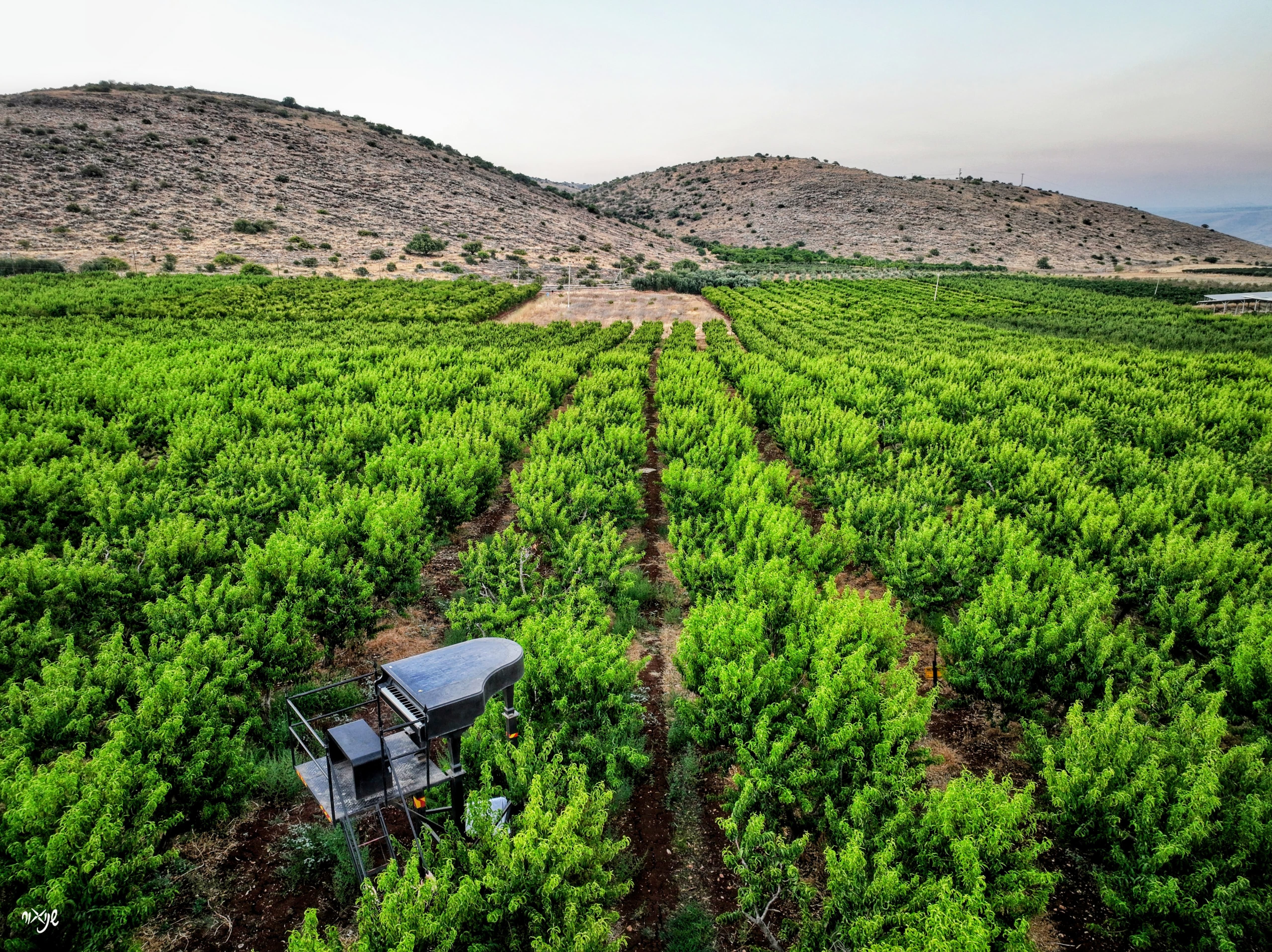 WhatsApp Image 2025-04-16 at 21.06.12.jpeg