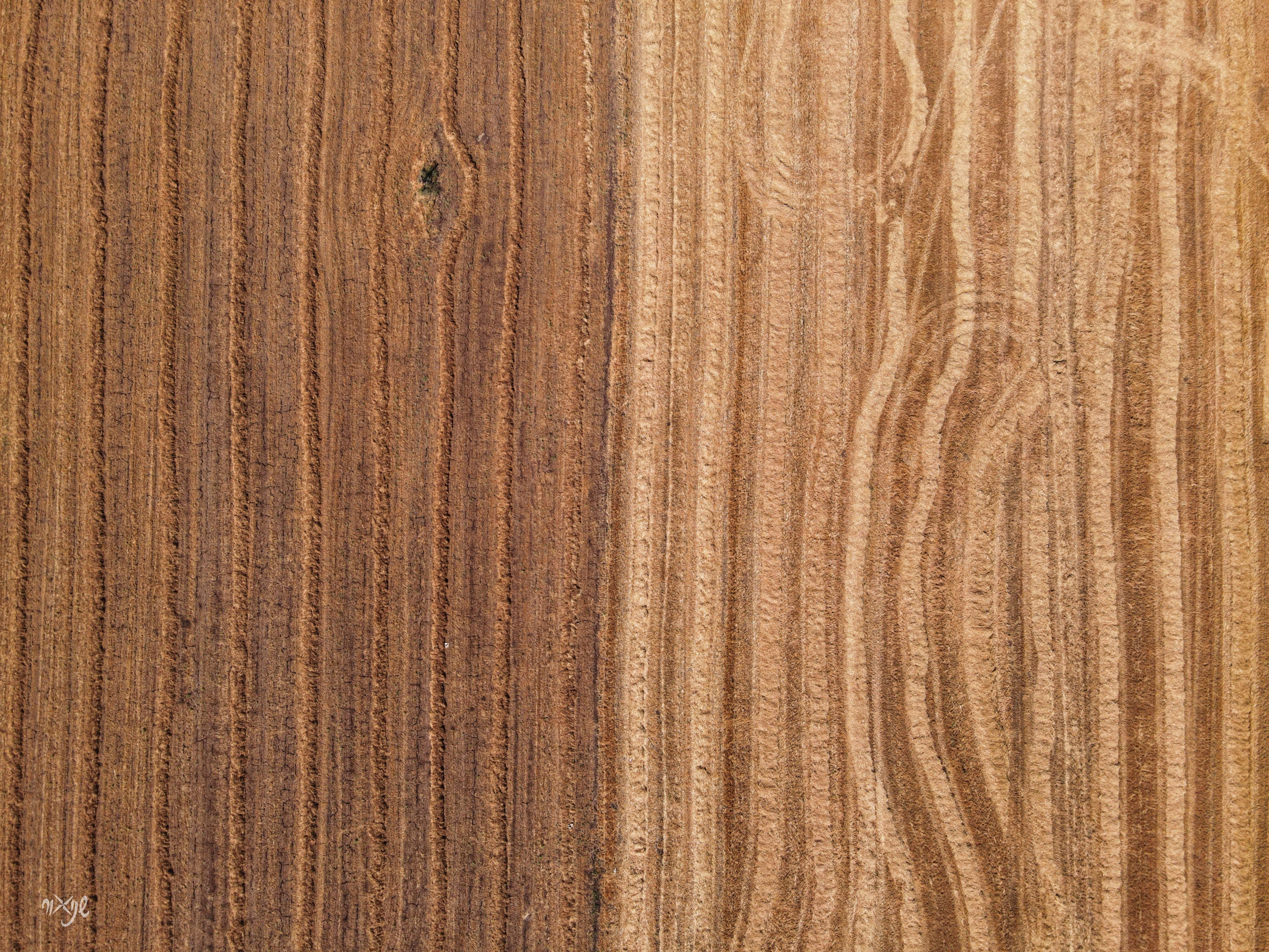 WhatsApp Image 2025-04-22 at 20.51.54.jpeg