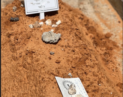 WhatsApp Image 2025-04-24 at 14.15.15.jpeg