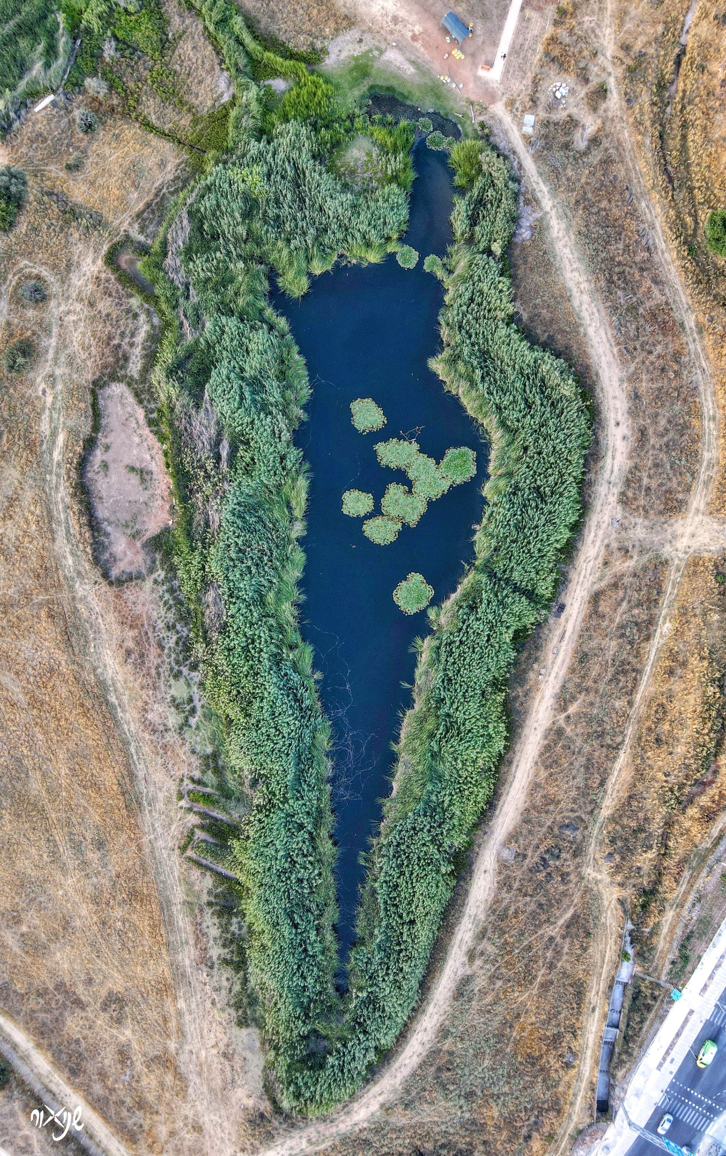 WhatsApp Image 2025-04-24 at 21.08.39.jpeg