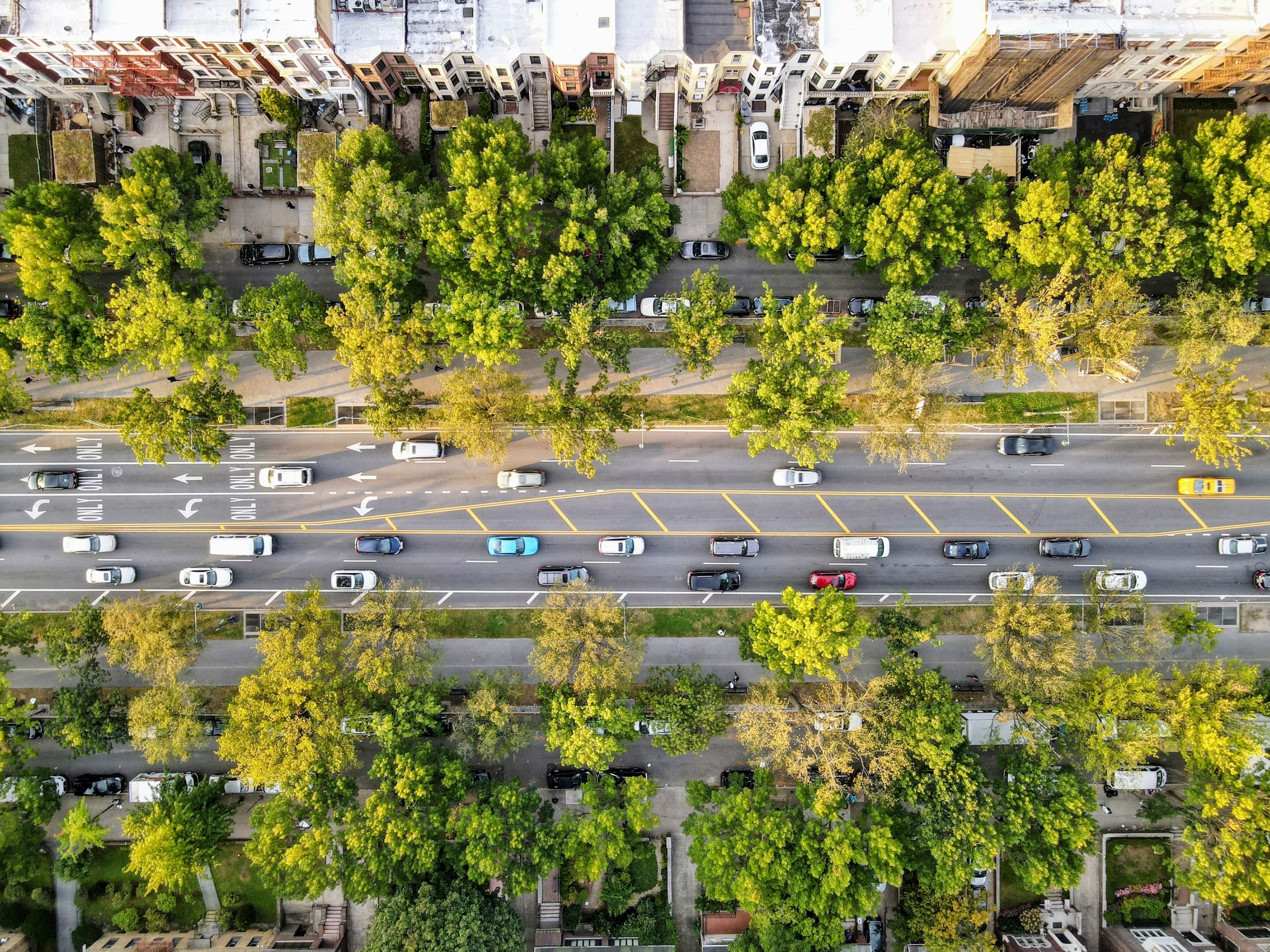 WhatsApp Image 2025-04-25 at 16.27.14.jpeg