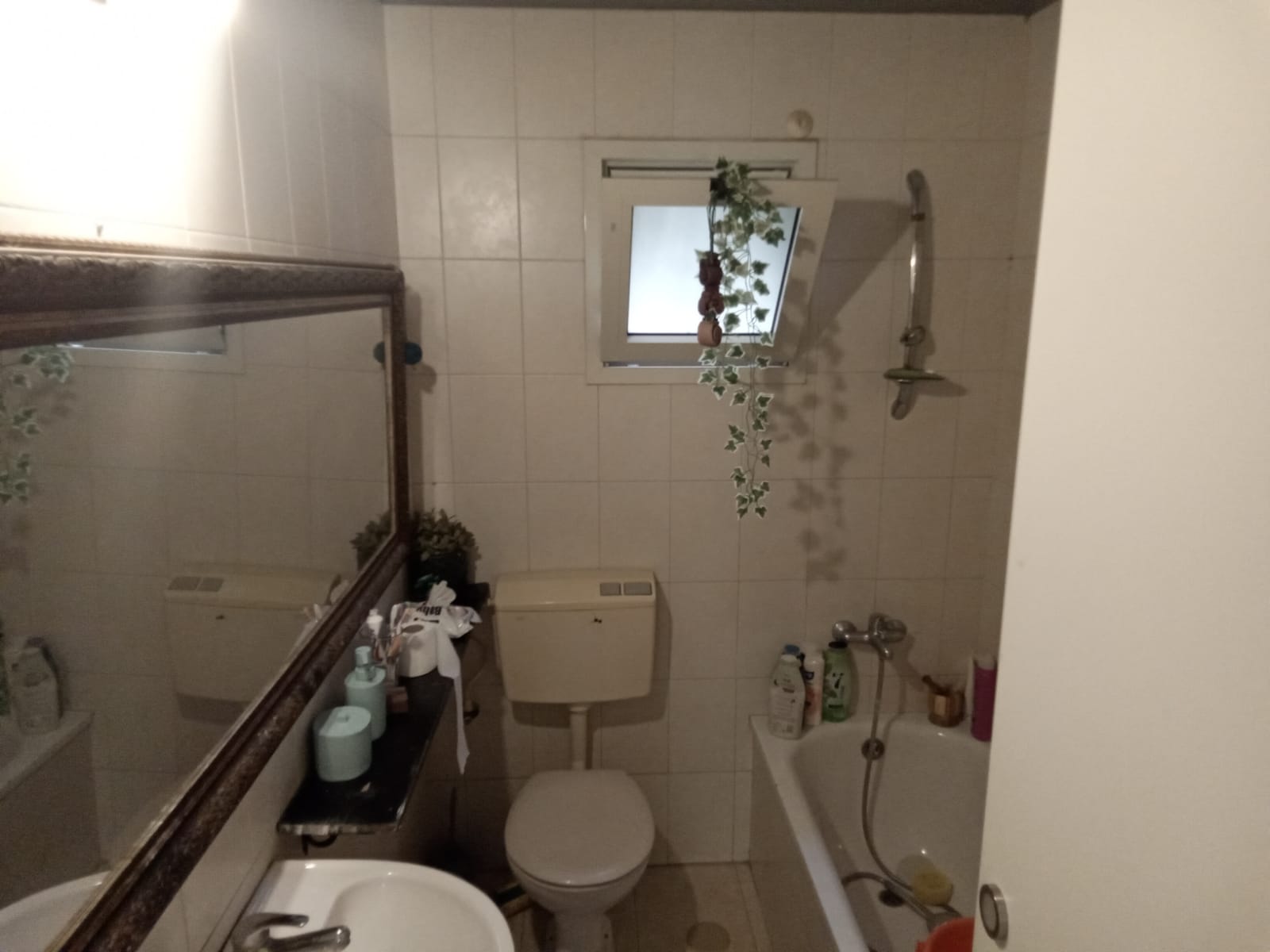 WhatsApp Image 2025-07-10 at 18.53.57.jpeg