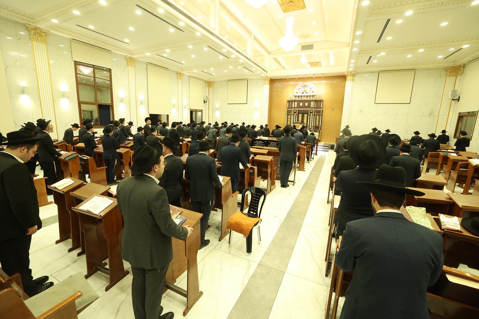 WhatsApp Image 2025-11-03 at 09.17.54 (5).jpeg