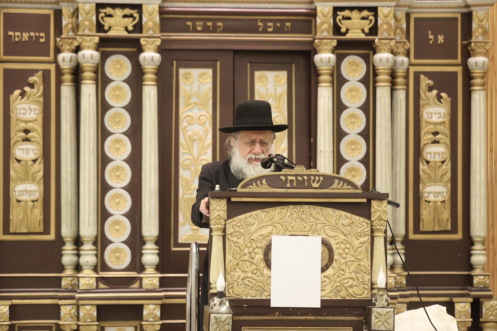 WhatsApp Image 2025-11-03 at 09.17.54.jpeg