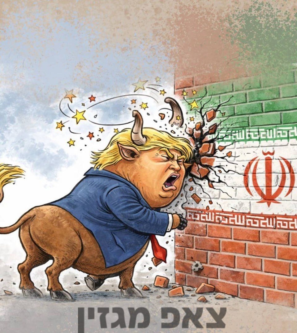 WhatsApp Image 2026-01-15 at 13.50.10.jpeg