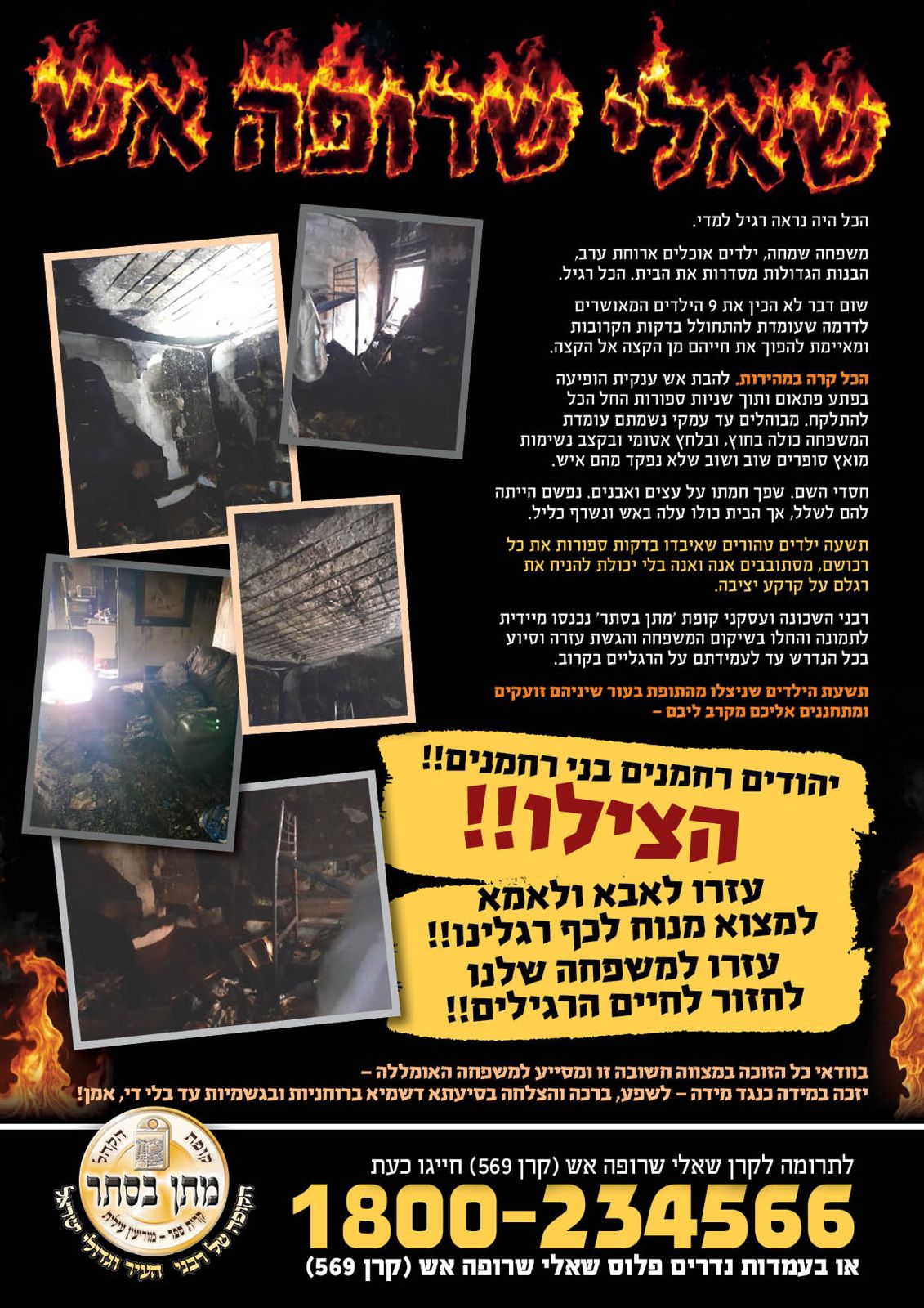 WhatsApp Image 2026-02-03 at 14.35.56.jpeg