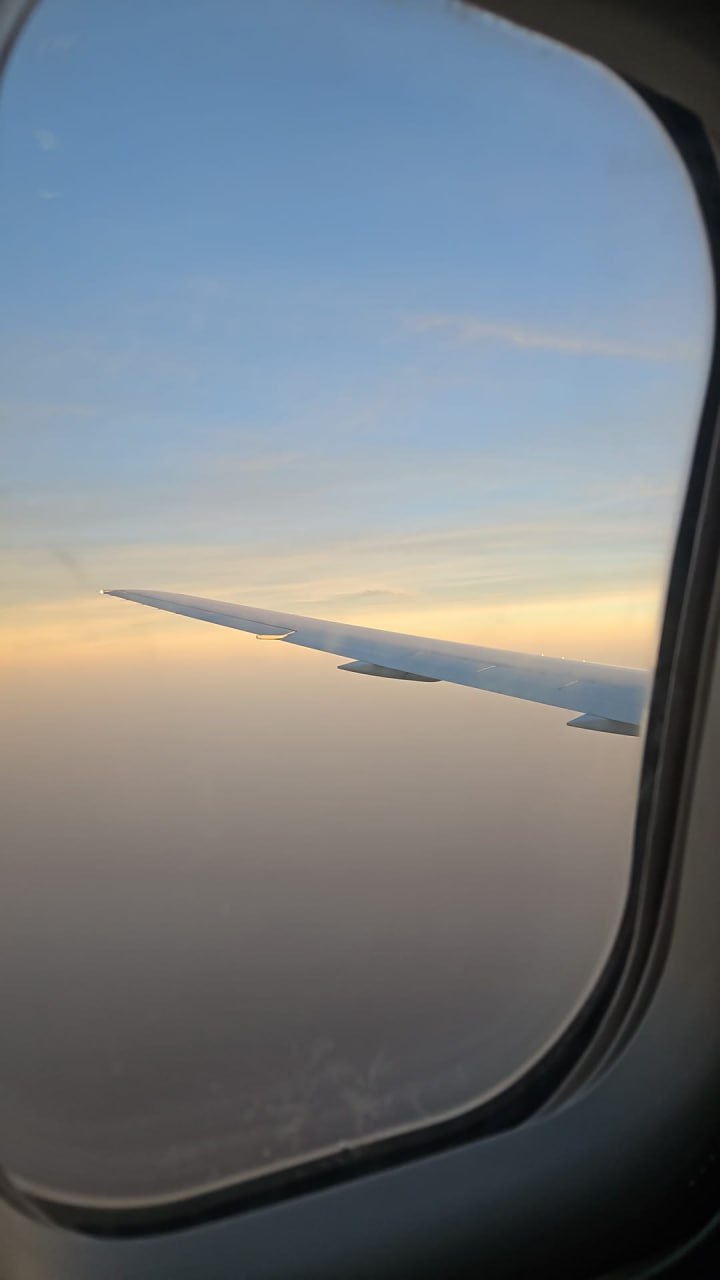 WhatsApp Image 2026-02-11 at 00.30.45.jpeg