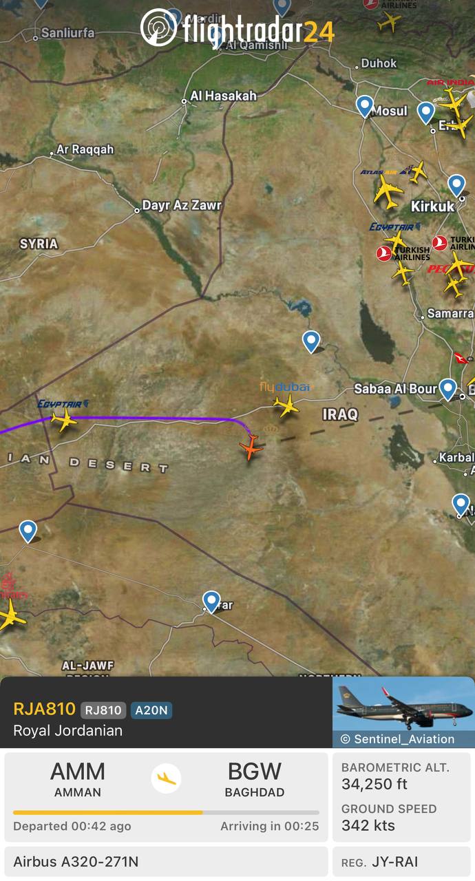 WhatsApp Image 2026-02-25 at 01.15.09.jpeg