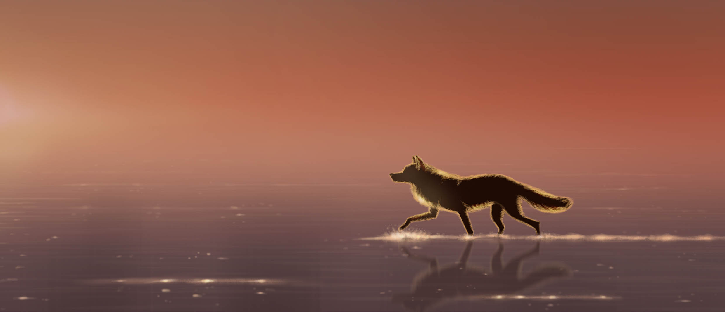 wolf at sunset.jpg