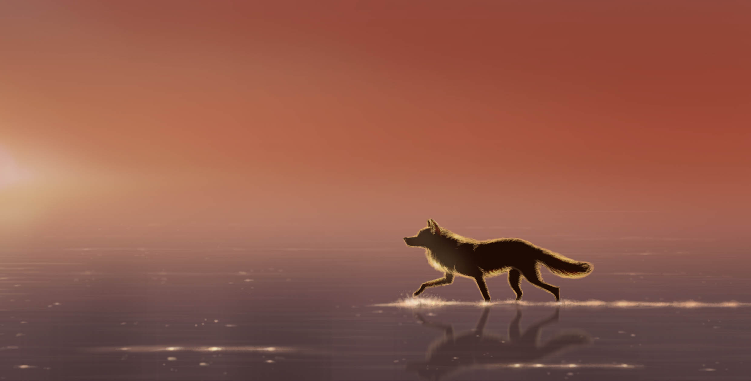 wolf at sunset2.jpg