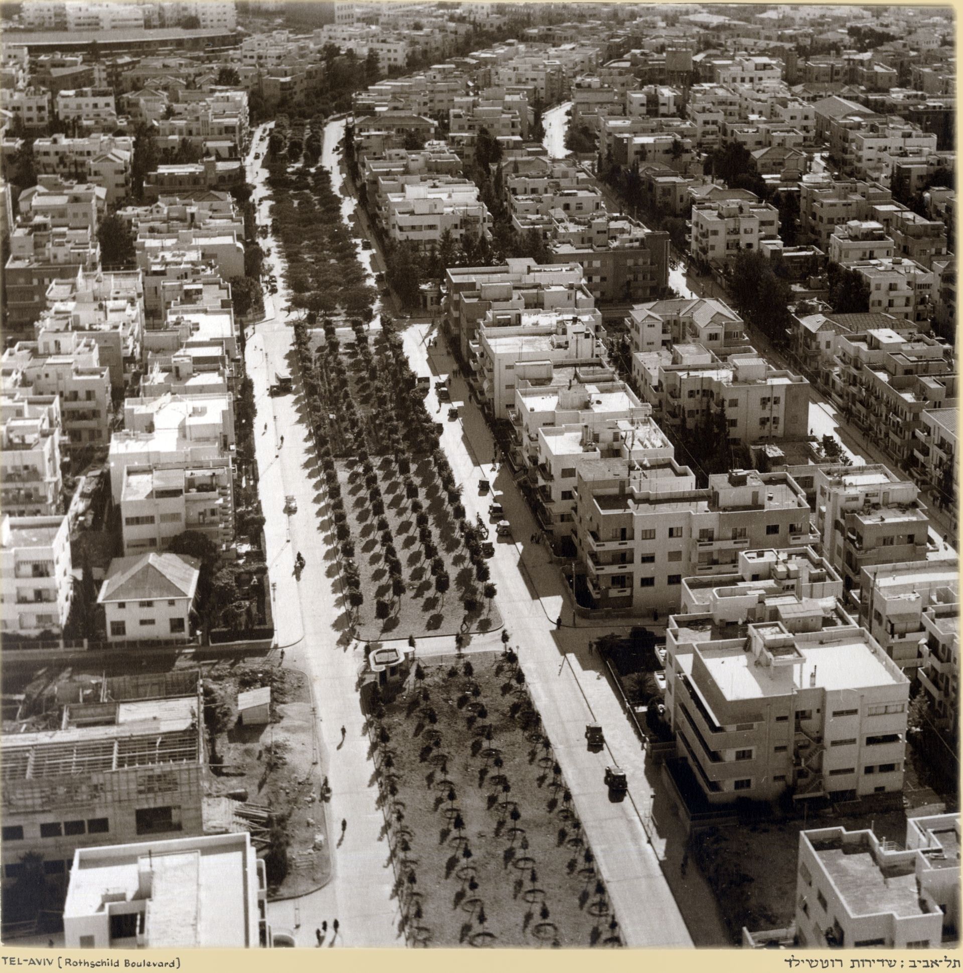 Zoltan_Kluger._Tel-Aviv_(Rothschild_Boulevard).jpg