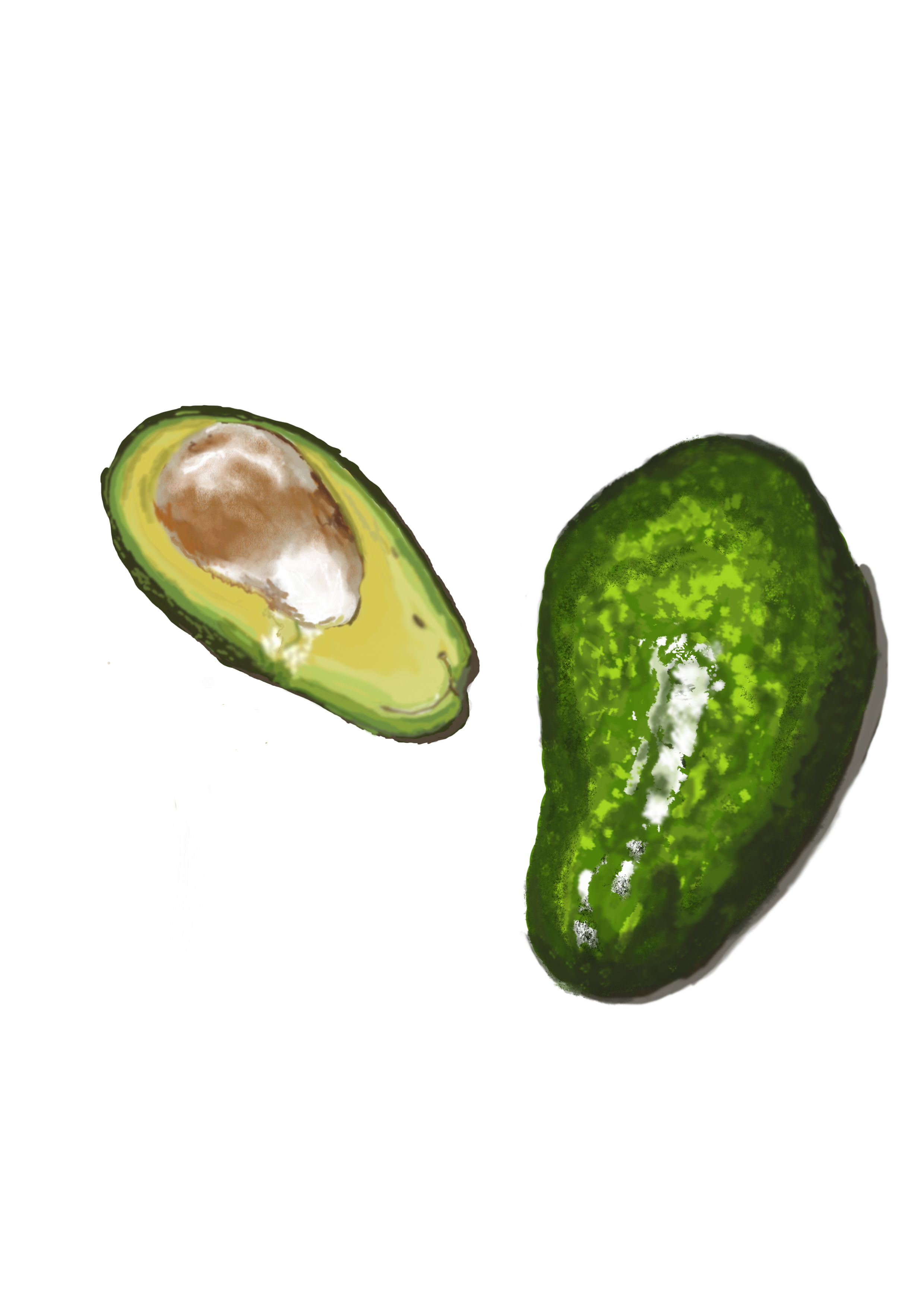 אבוקדו תמר פרידמן