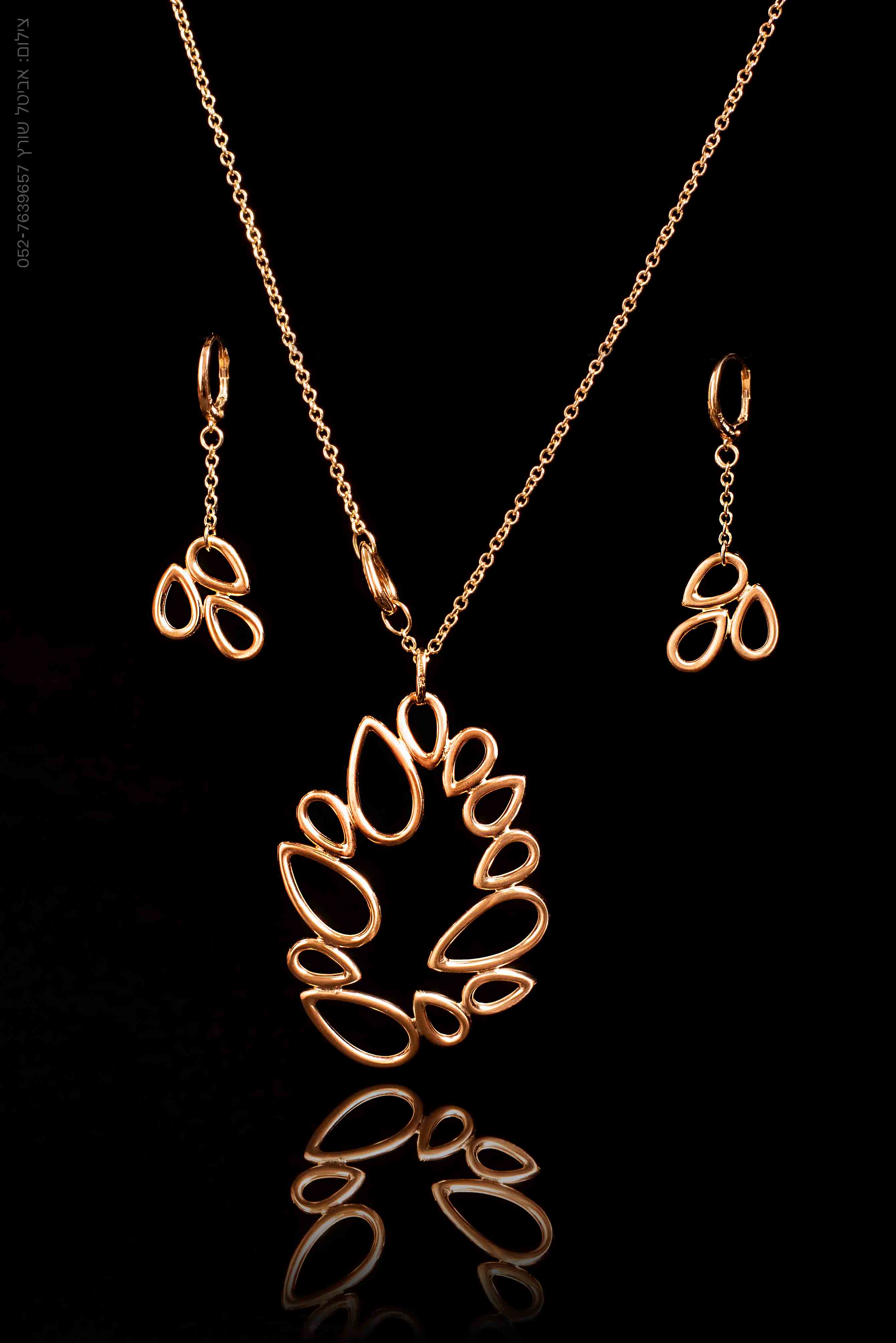 -אביטל שורץ-10