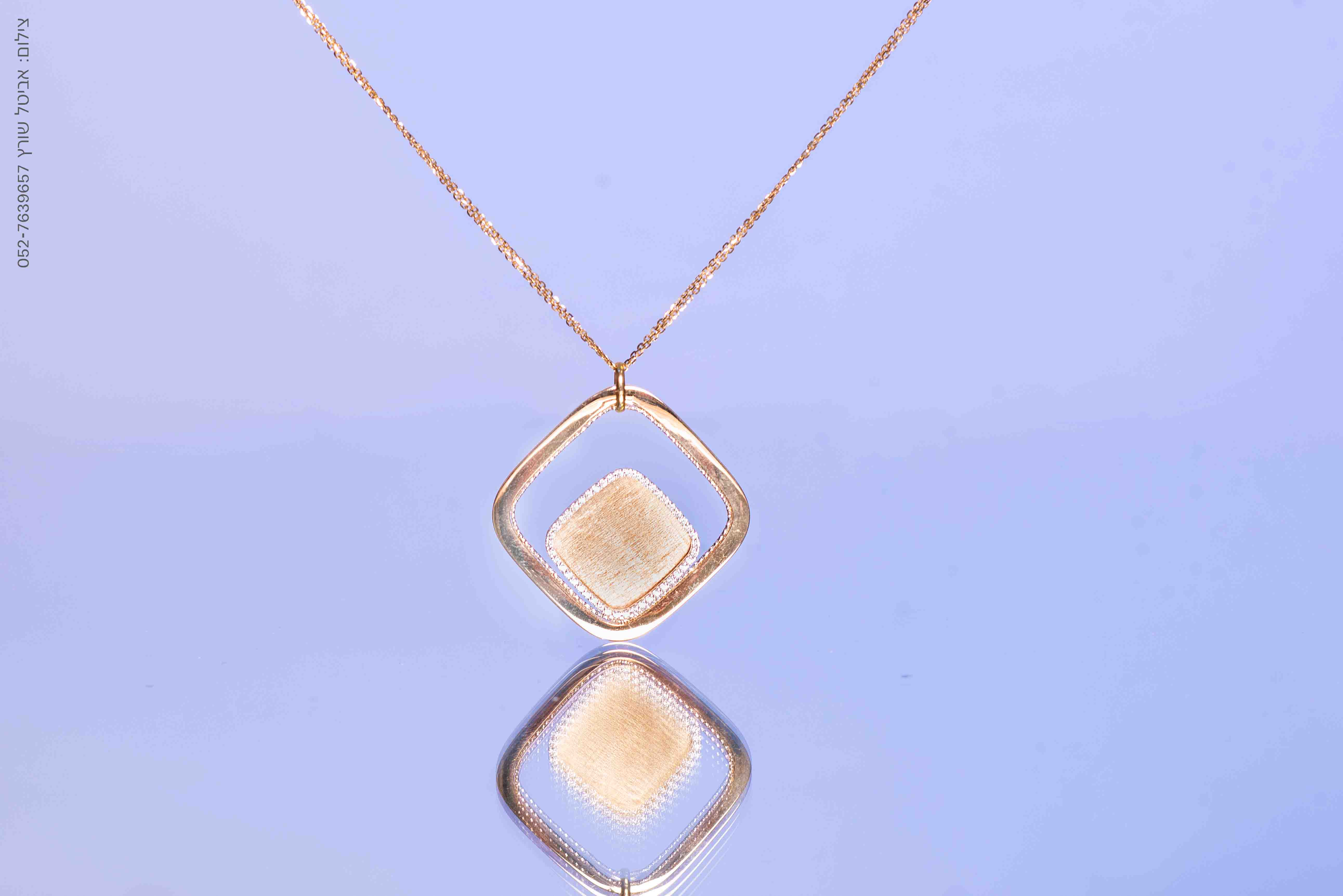 -אביטל שורץ-12