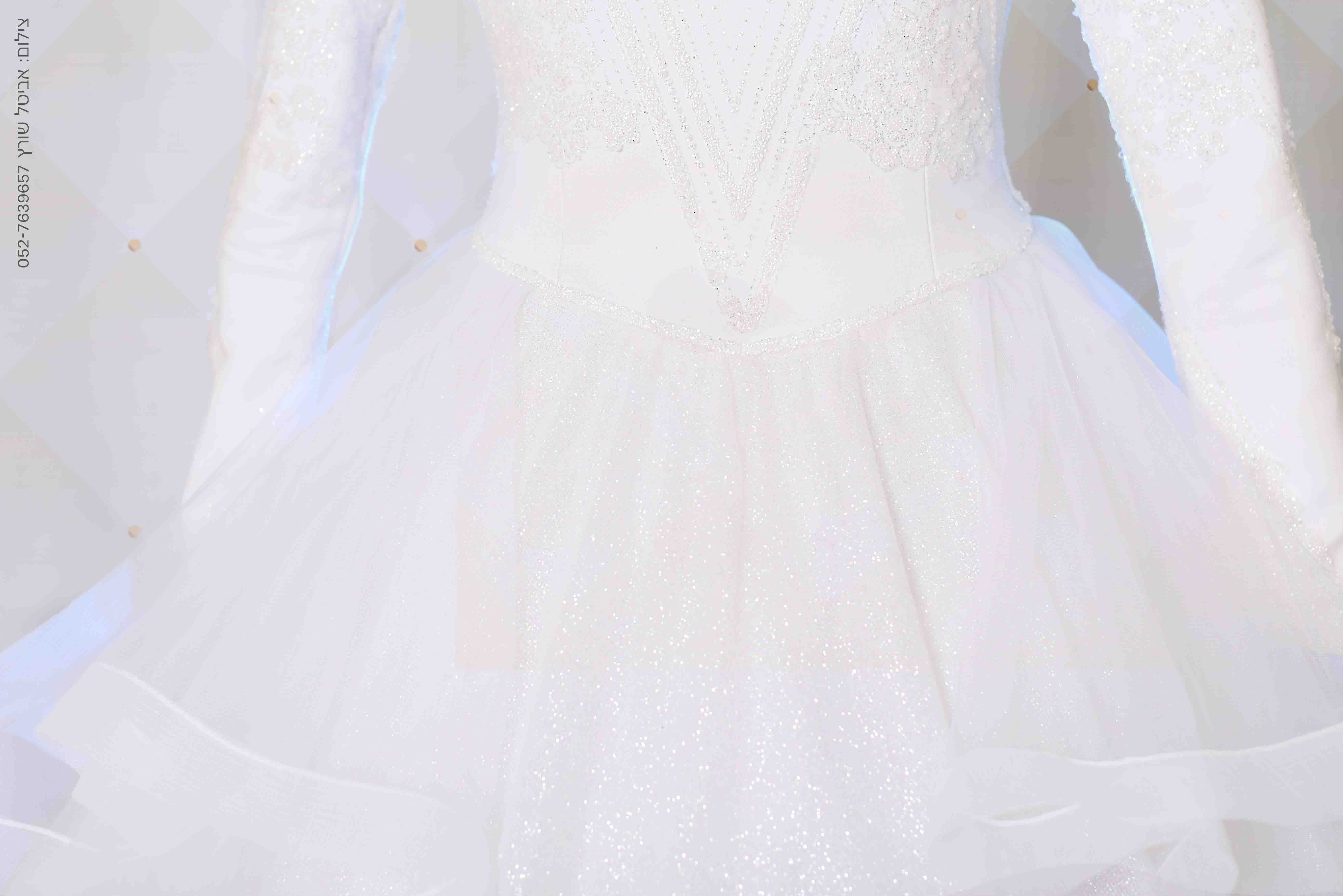 -אביטל שורץ-19