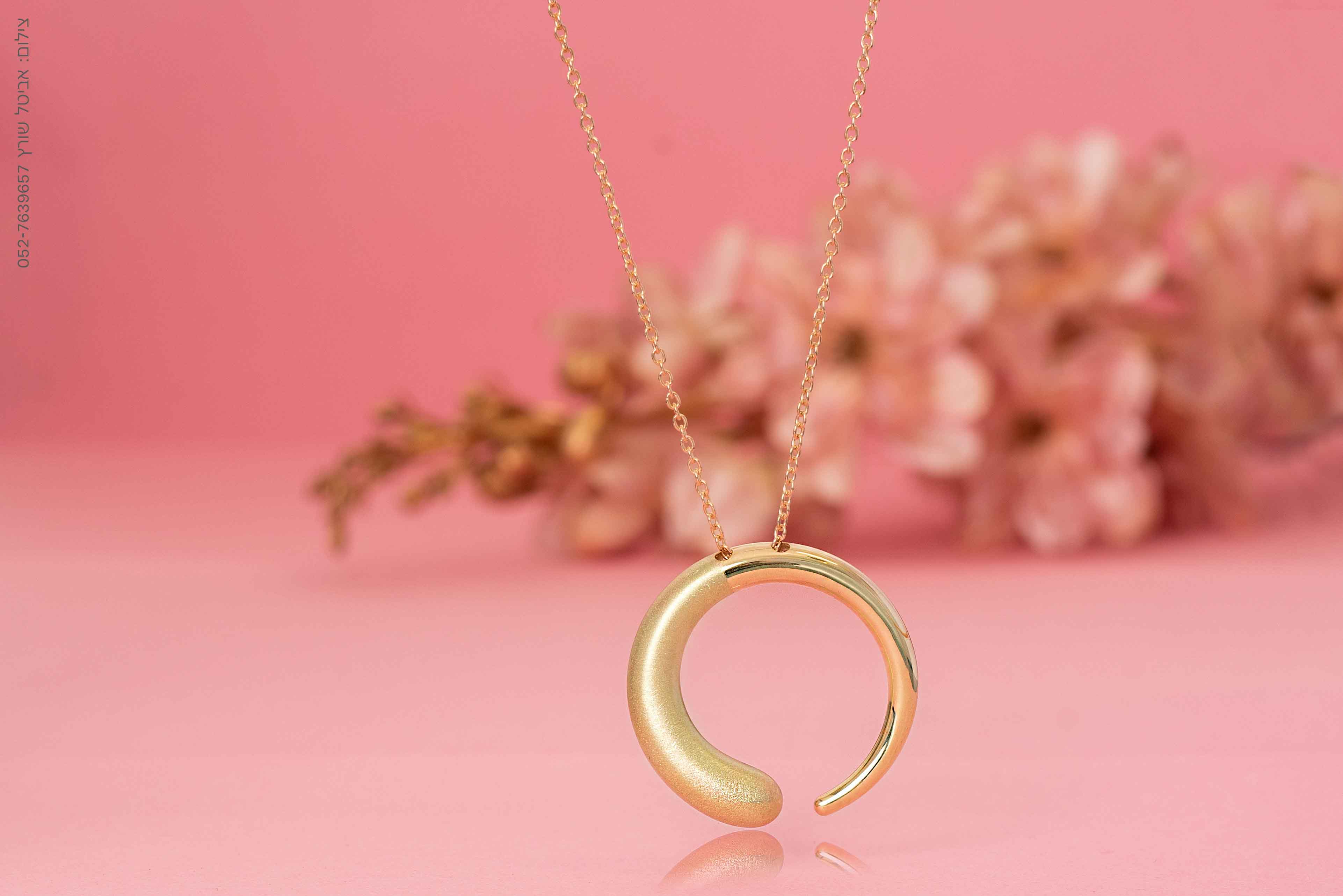 -אביטל שורץ-23