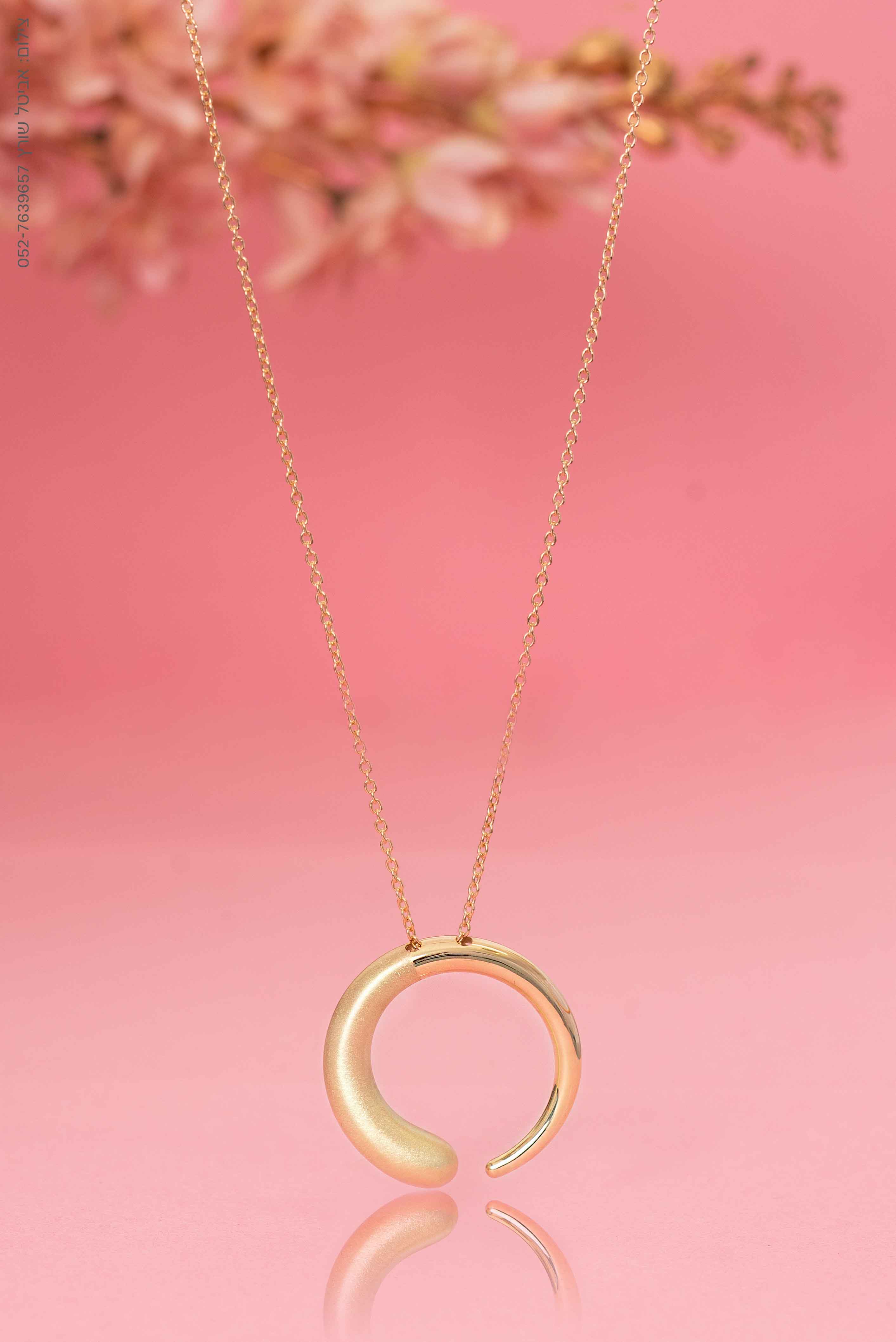 -אביטל שורץ-24