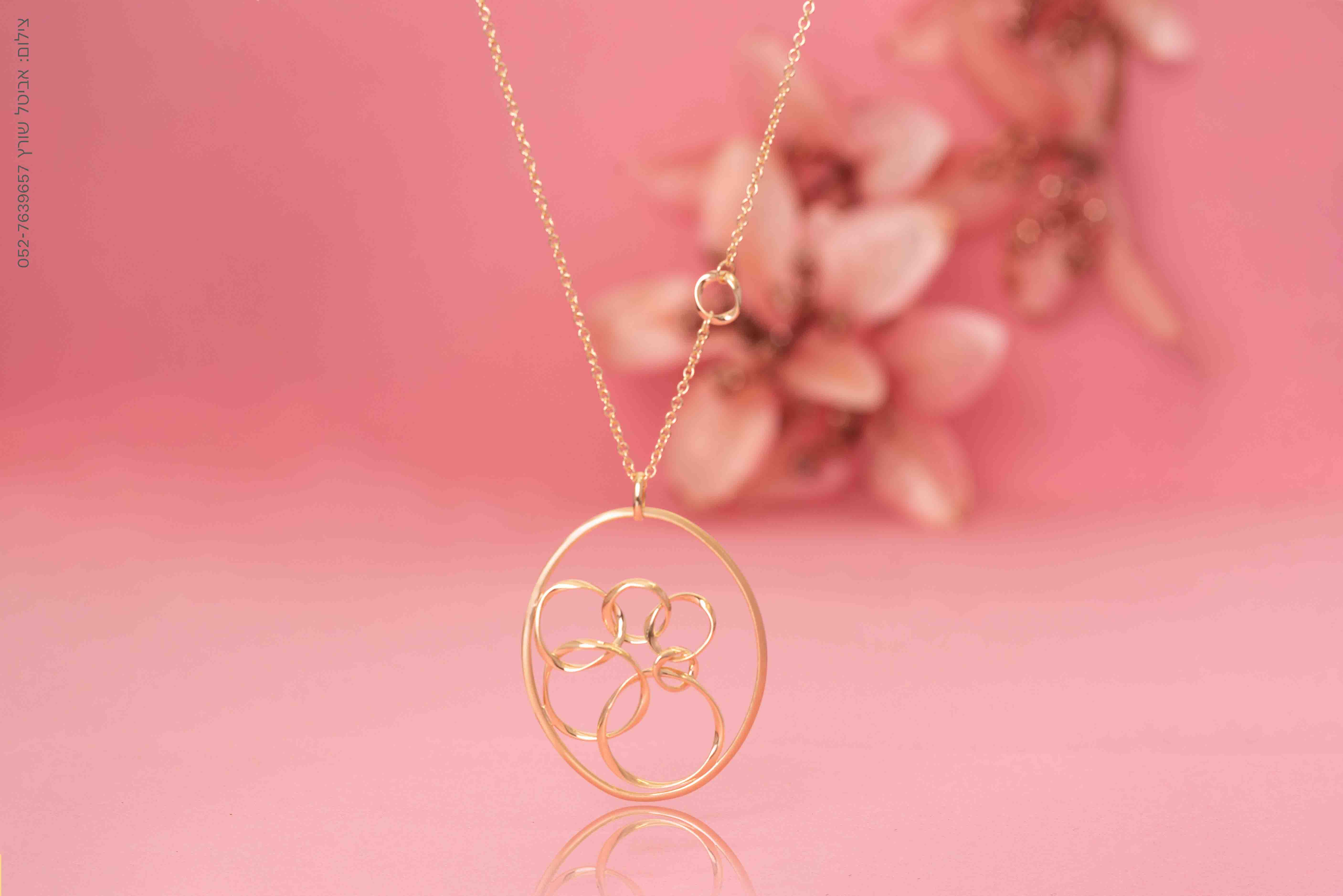 -אביטל שורץ-25