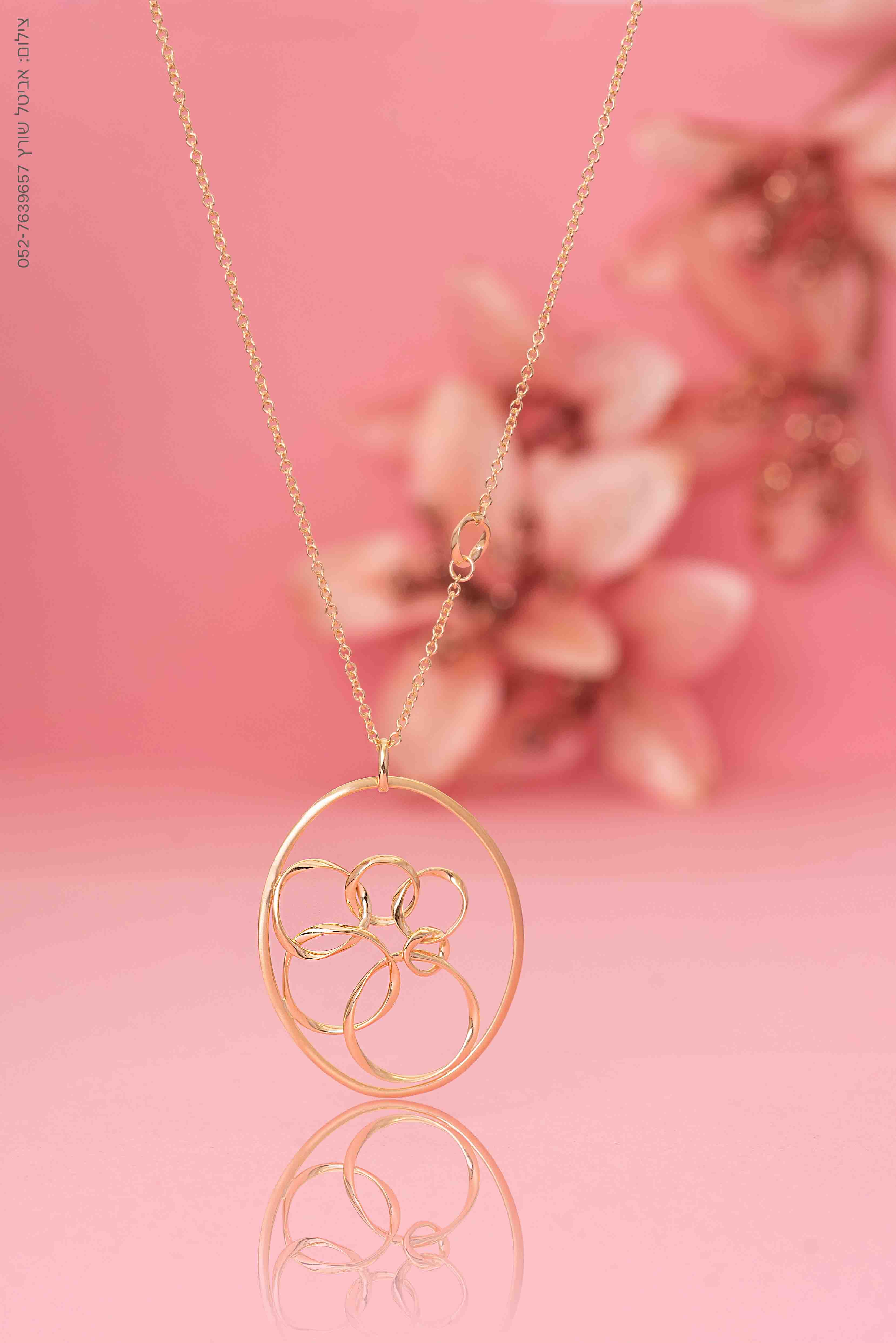 -אביטל שורץ-26