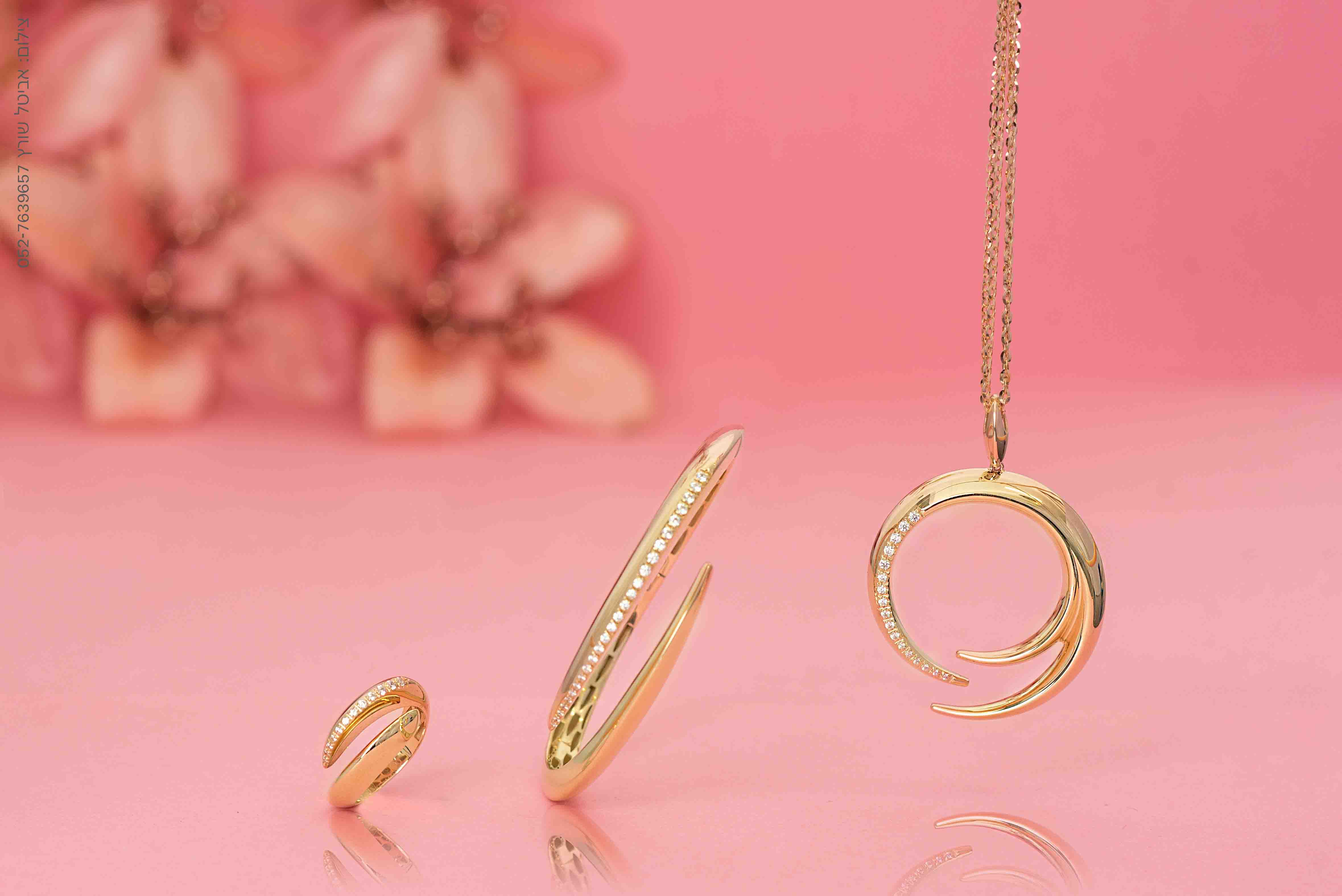 -אביטל שורץ-27