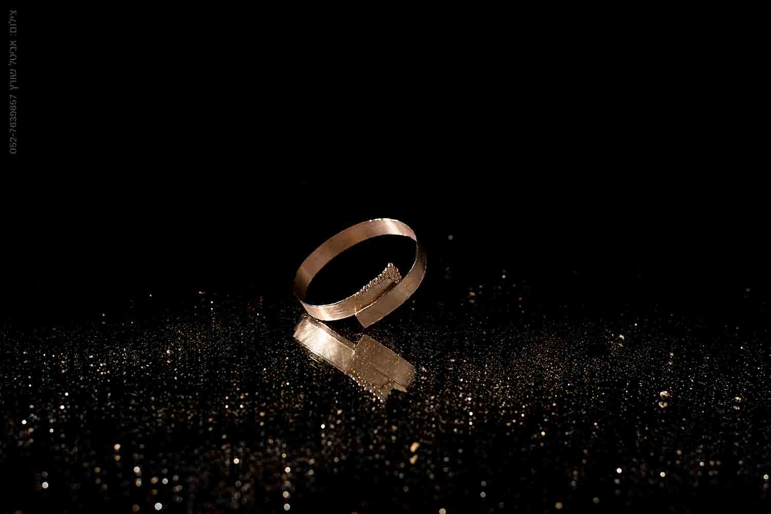 -אביטל שורץ-5